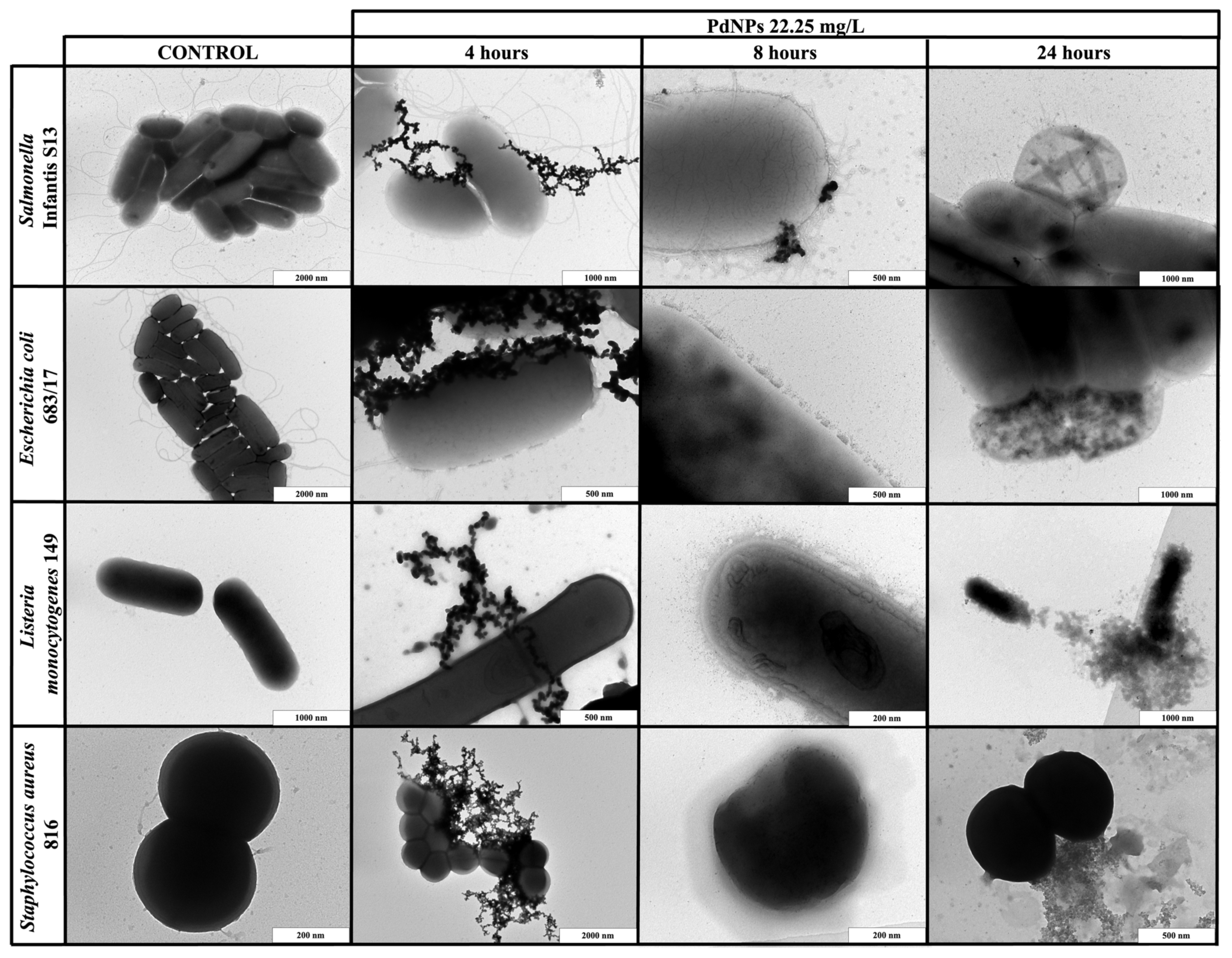 Ijms 22 07892 g002 550