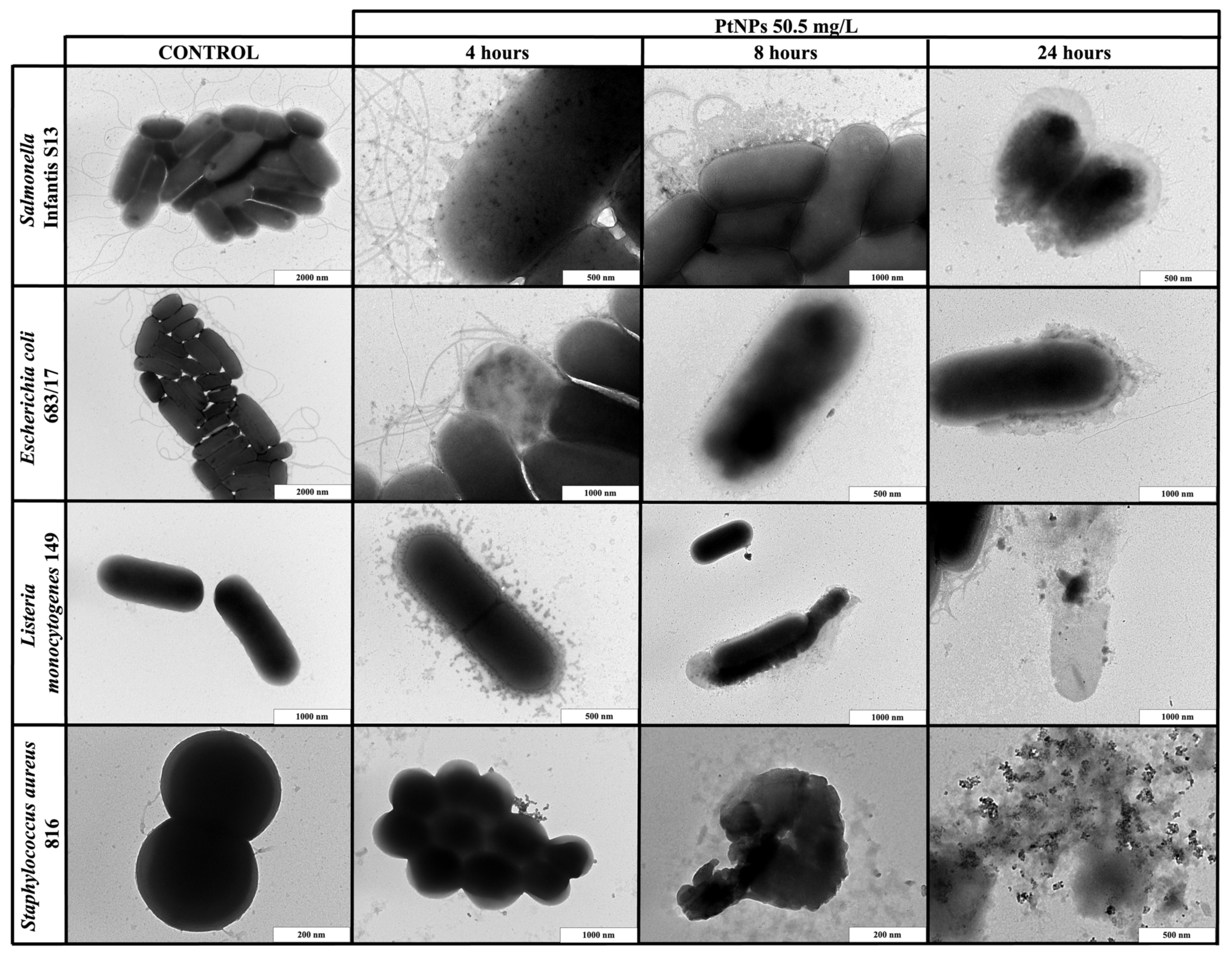 Ijms 22 07892 g003 550