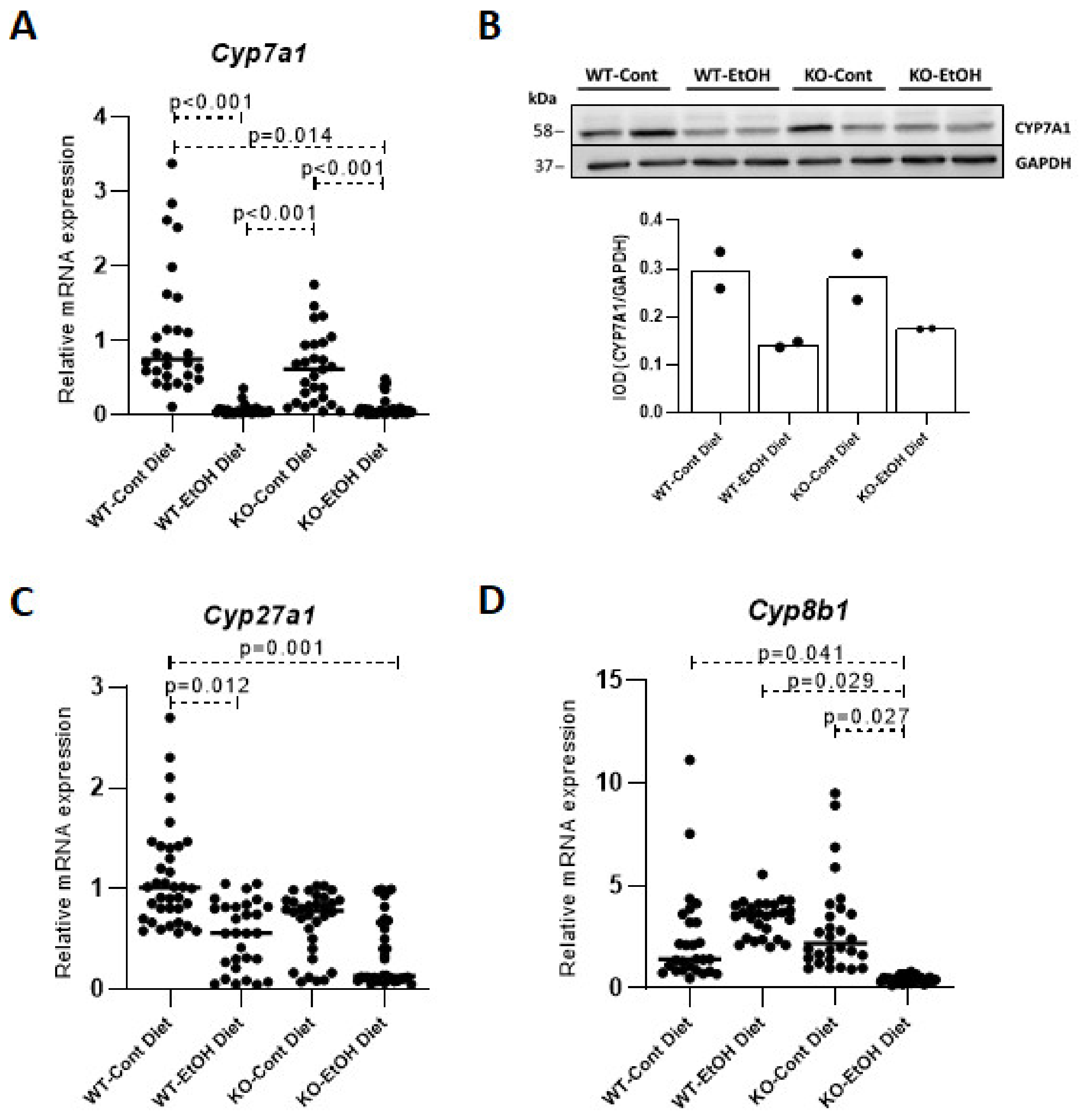 Ijms 22 07898 g003 550