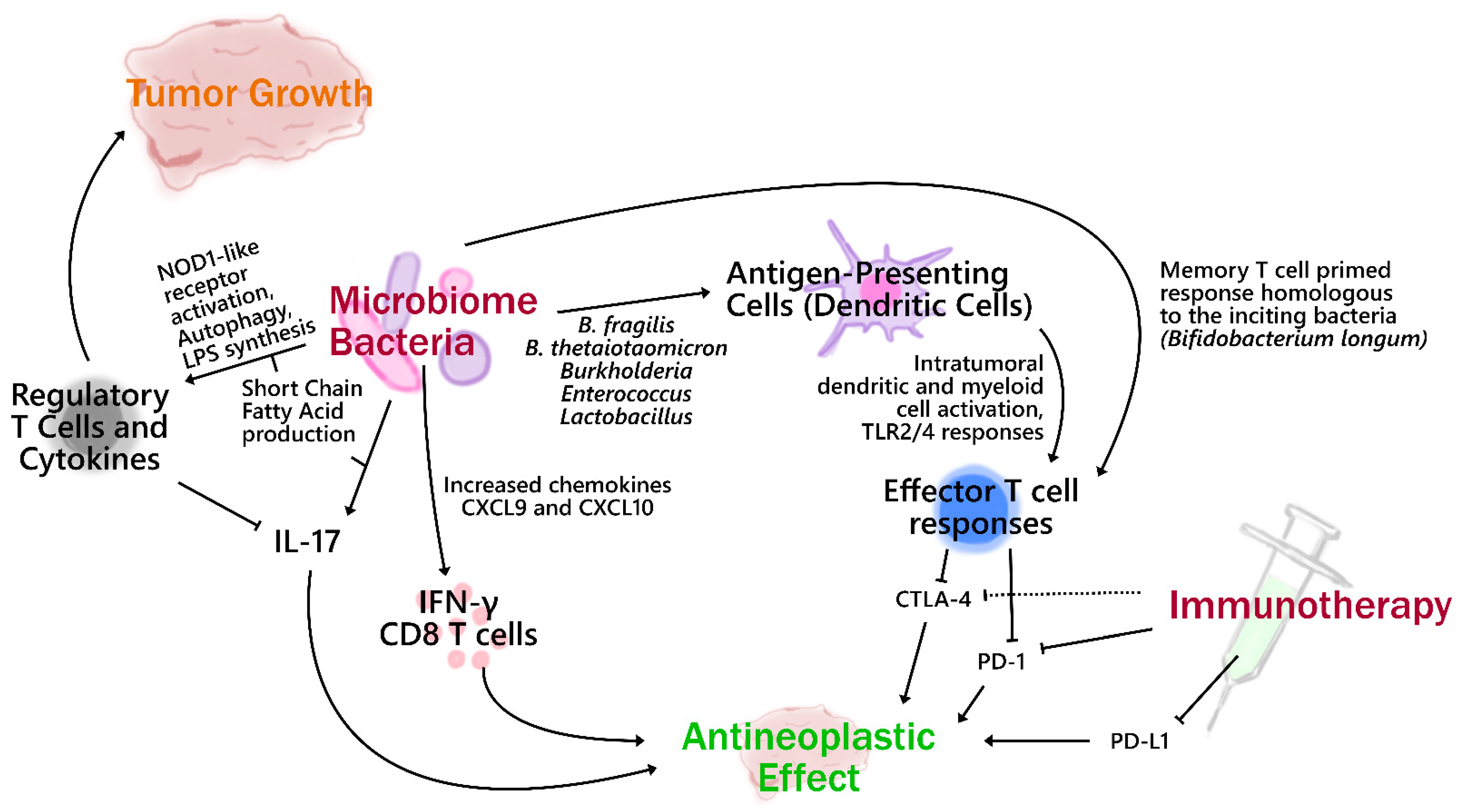 Ijms 22 07900 g001 550