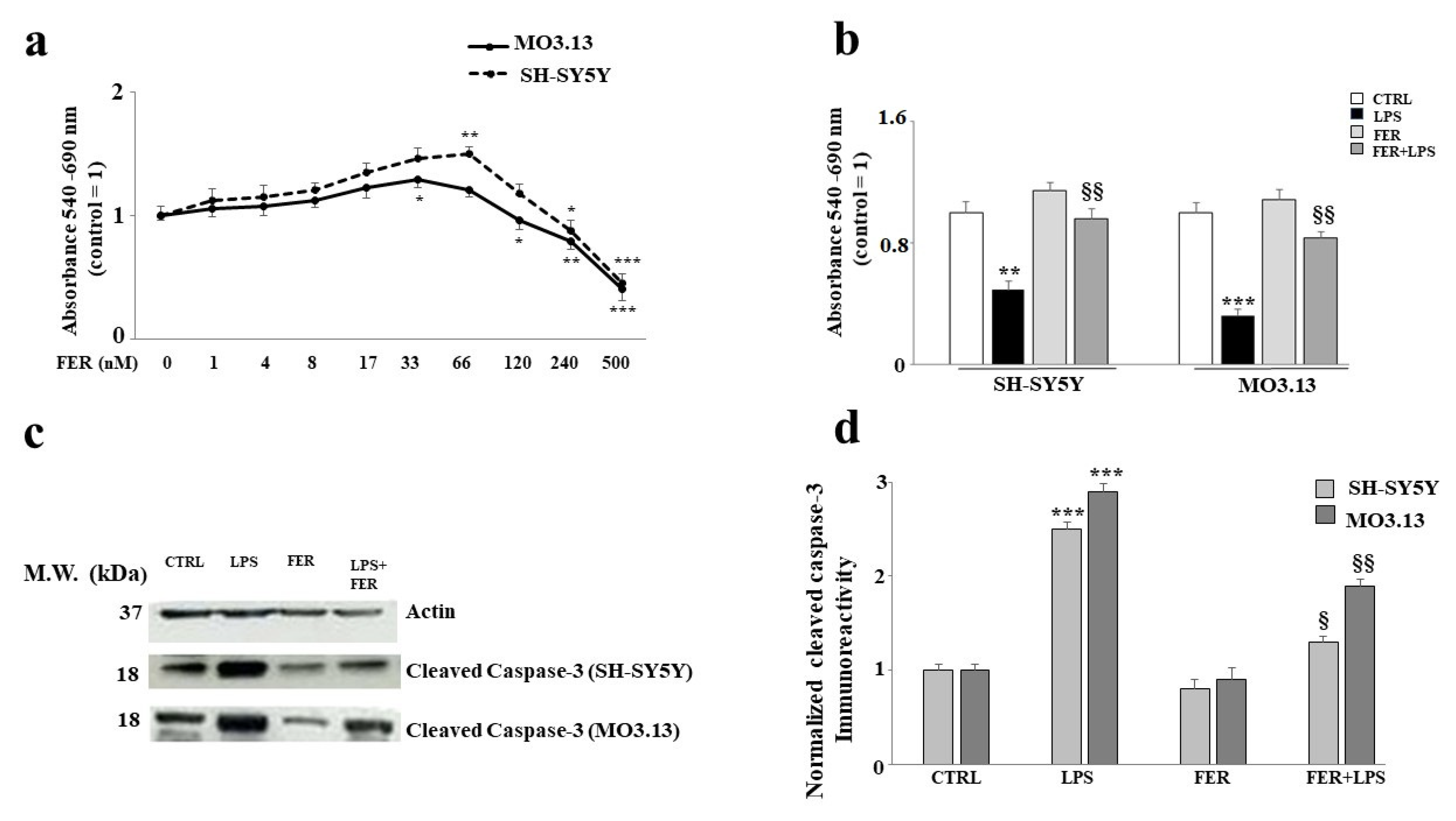 Ijms 22 07910 g003 Ijms 22 07910 g003