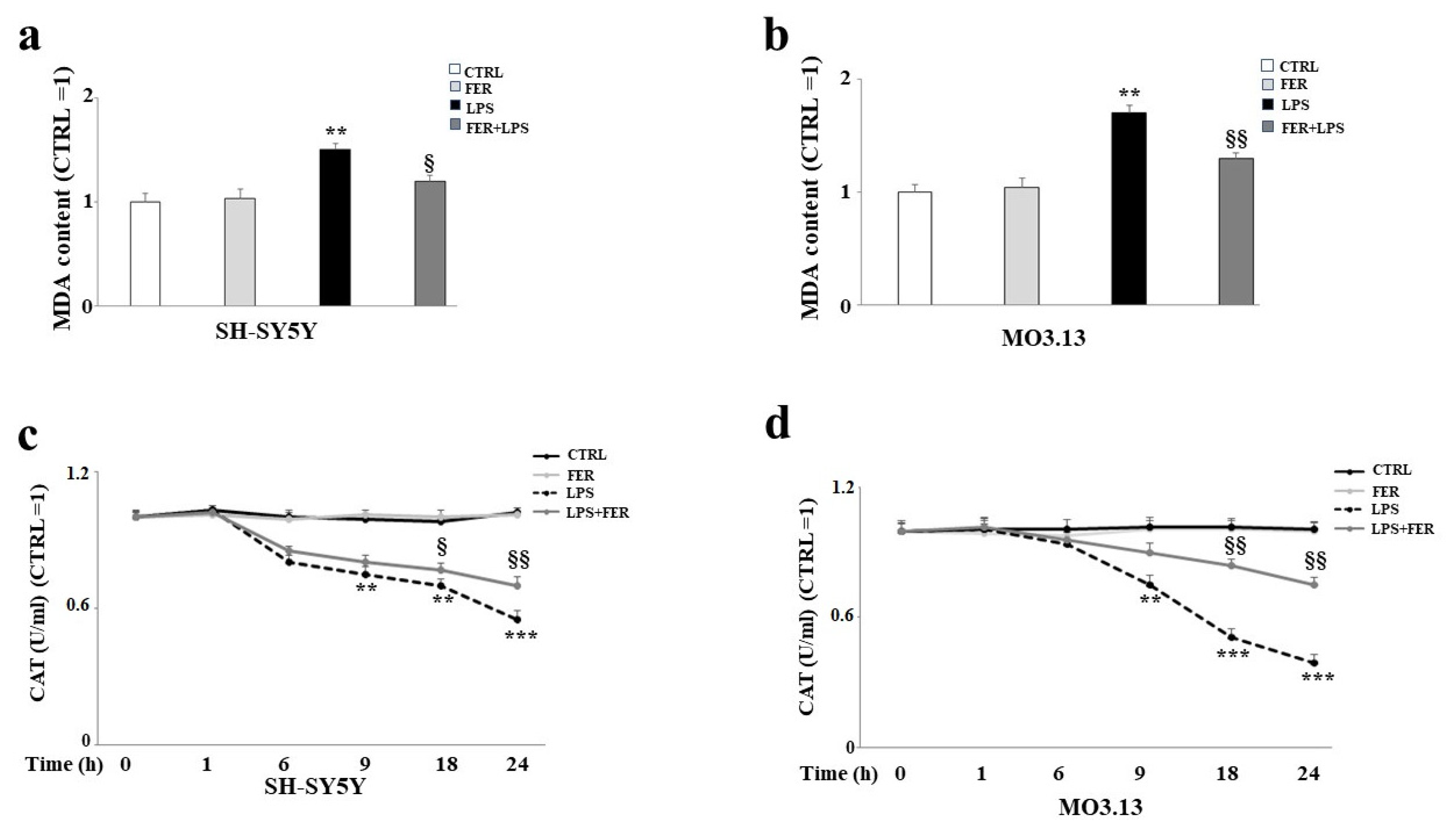 Ijms 22 07910 g006 Ijms 22 07910 g006