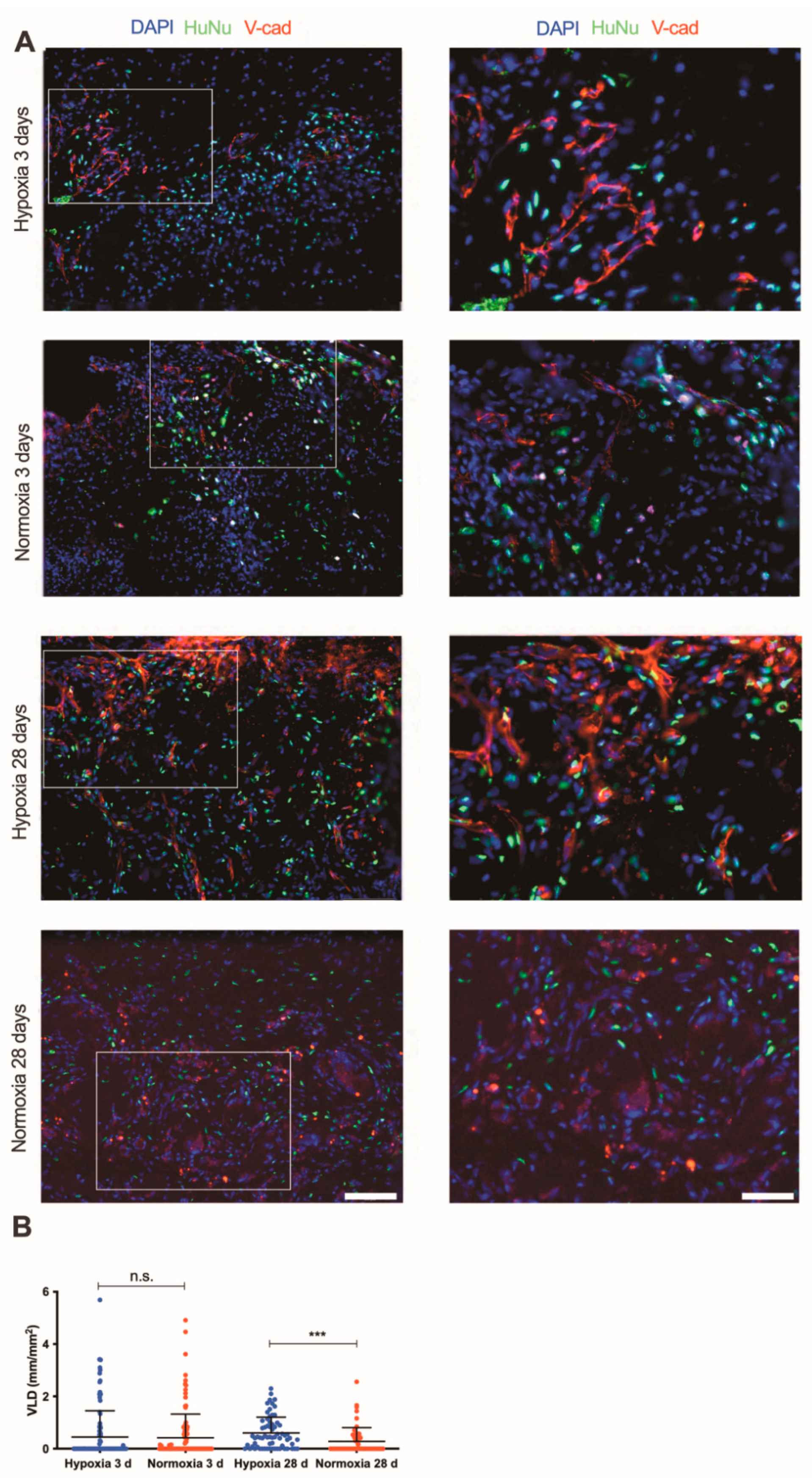 Ijms 22 07920 g005 550