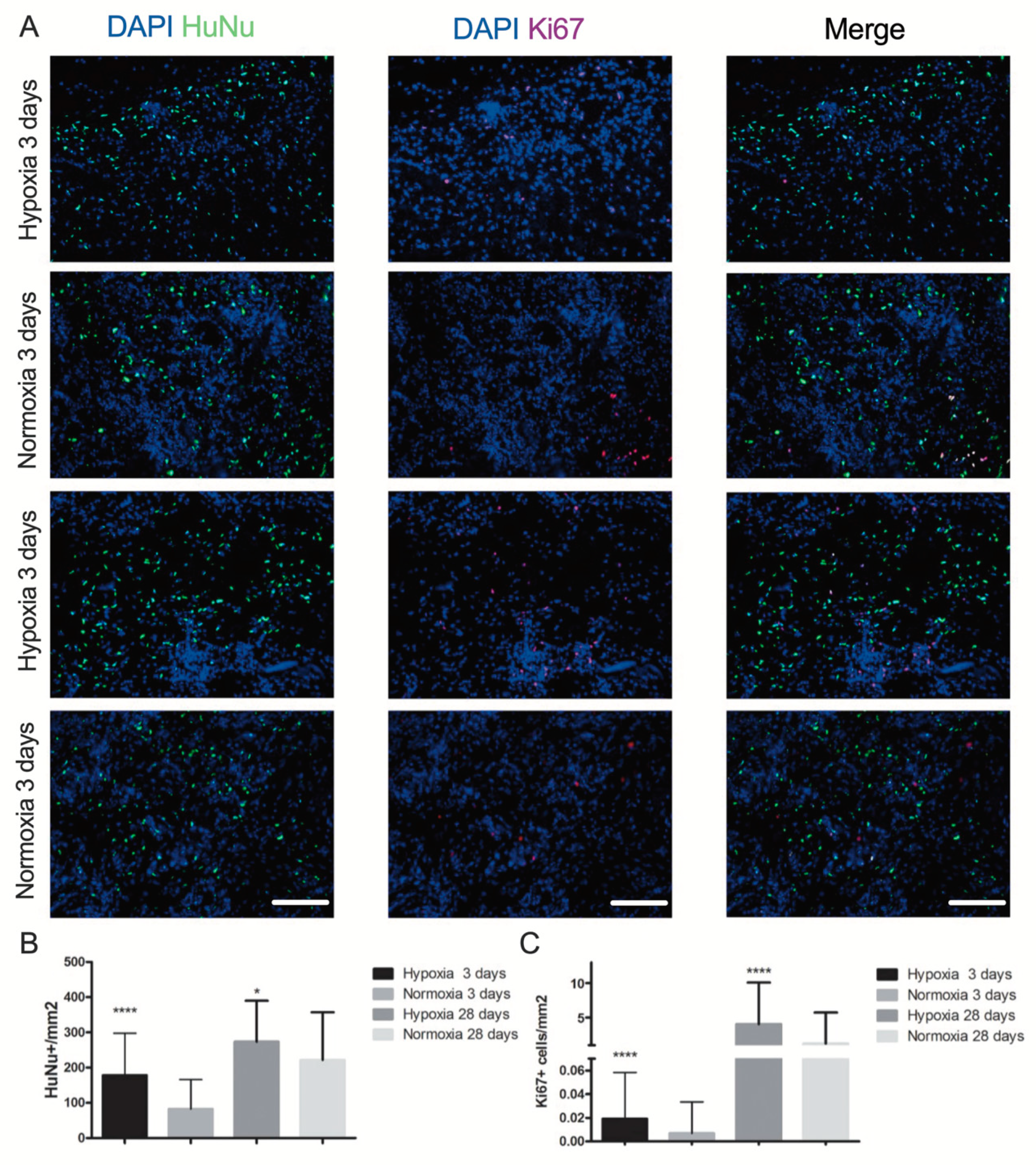Ijms 22 07920 g006 550