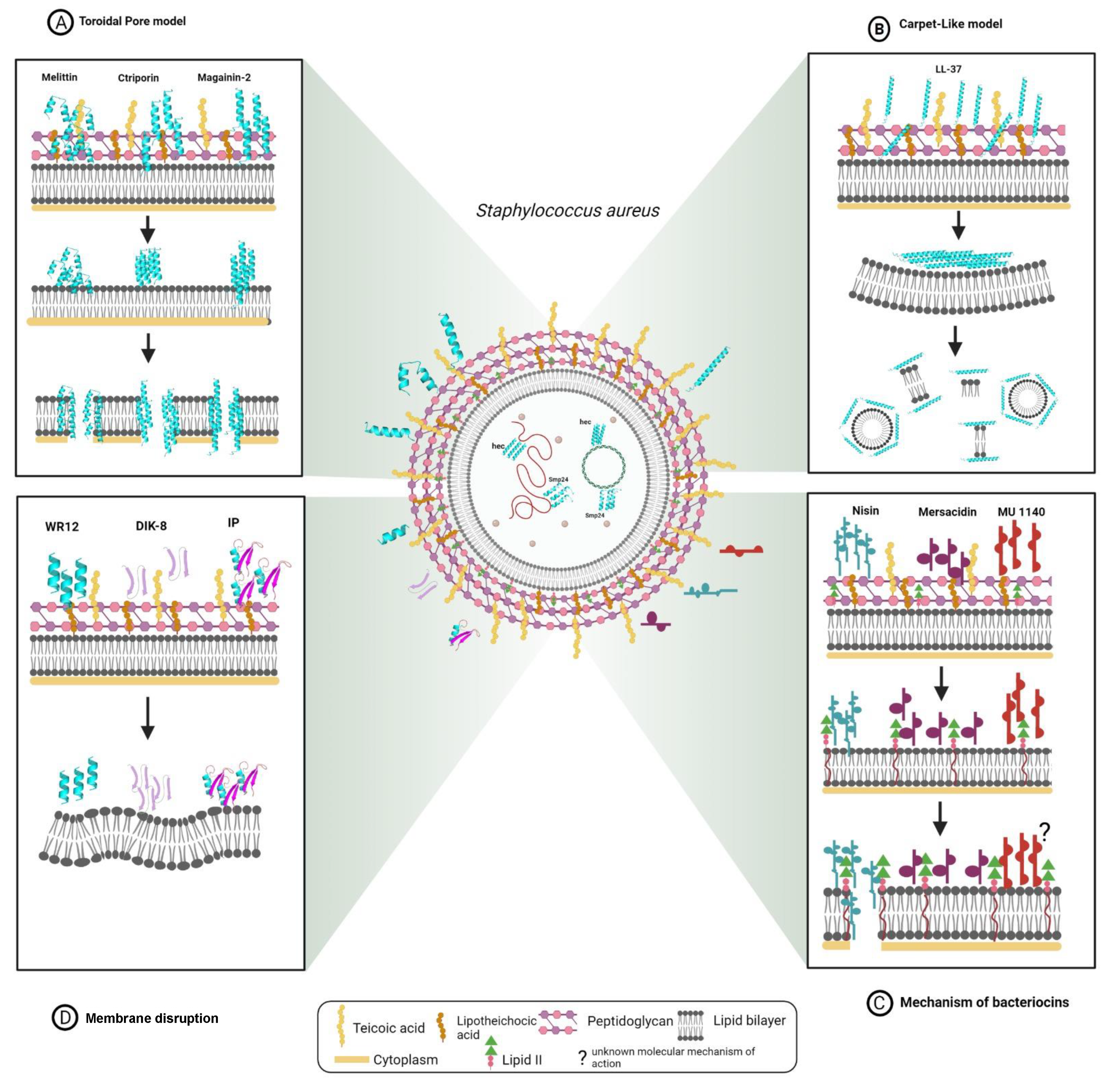 Ijms 22 07927 g001 550