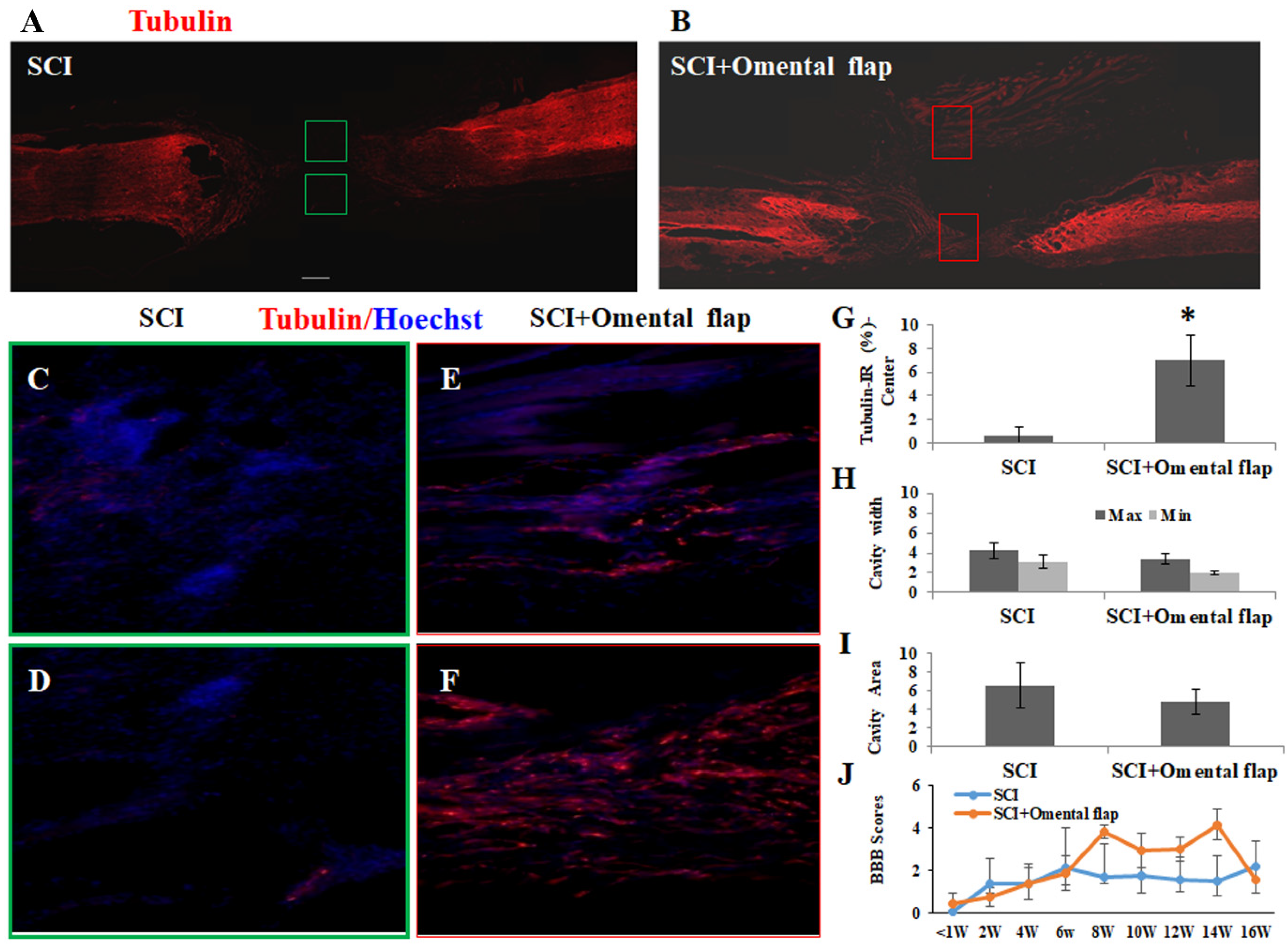 Ijms 22 07930 g006 Ijms 22 07930 g006