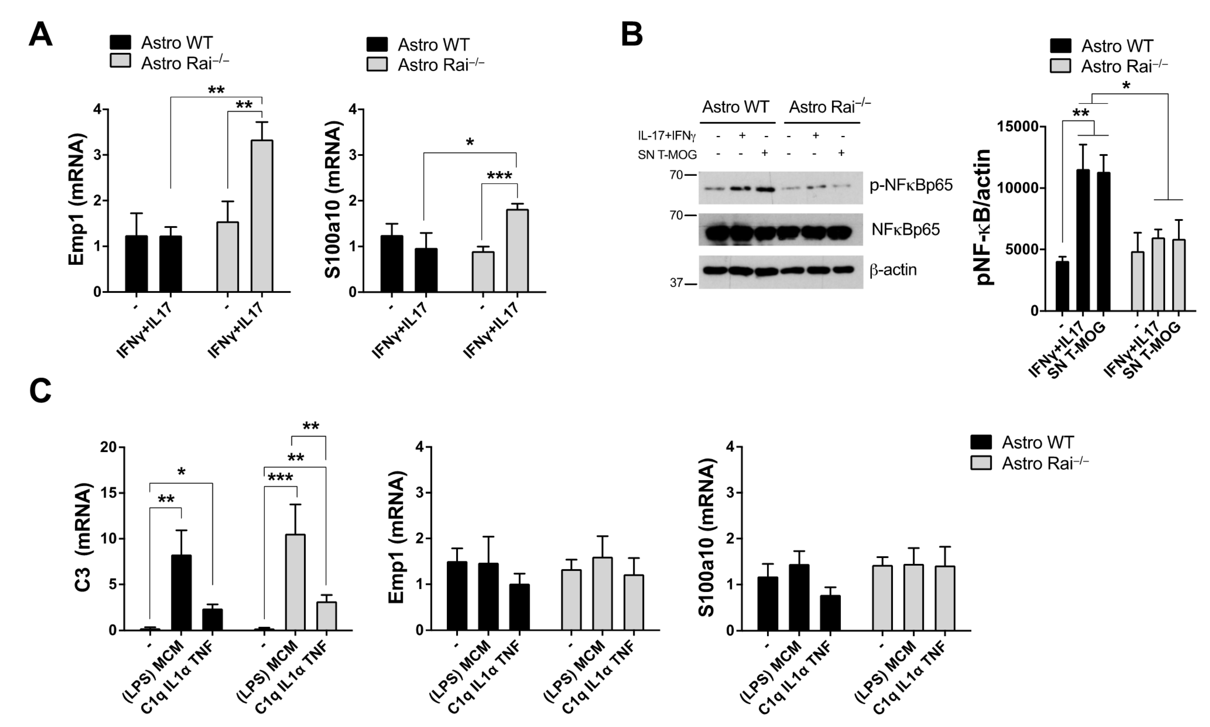 Ijms 22 07933 g001 550