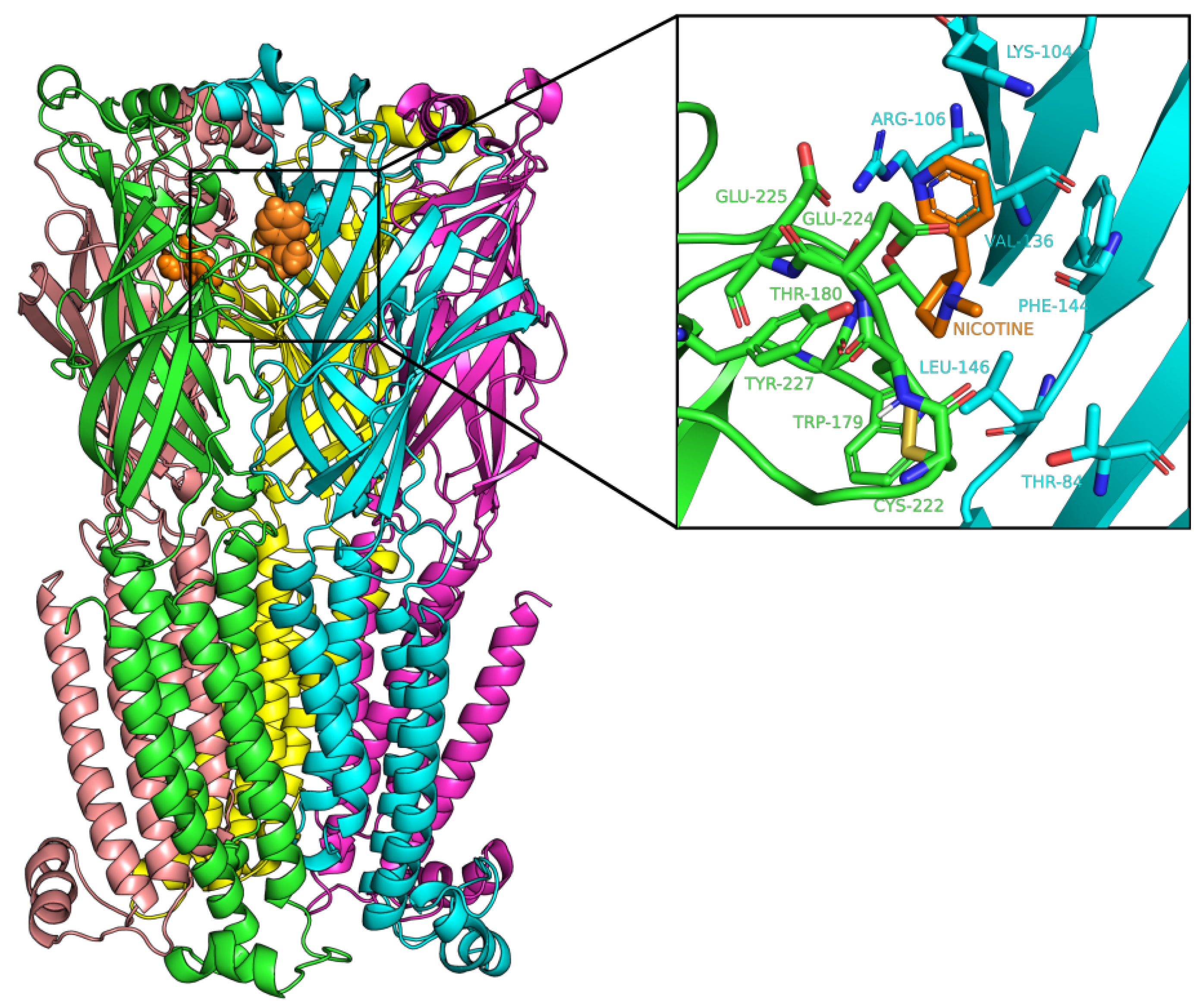 Ijms 22 07934 g001 550