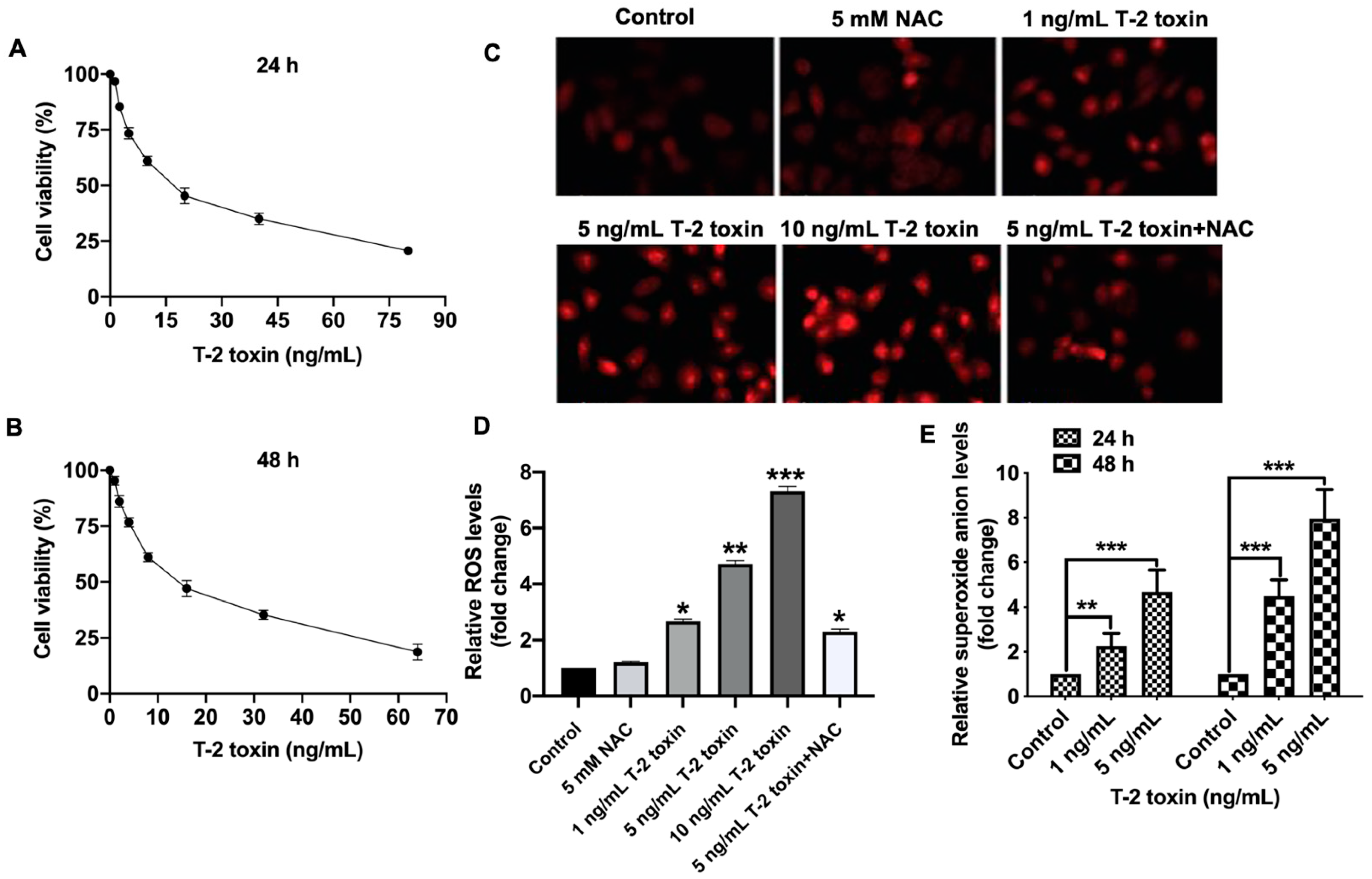 Ijms 22 07936 g001 550