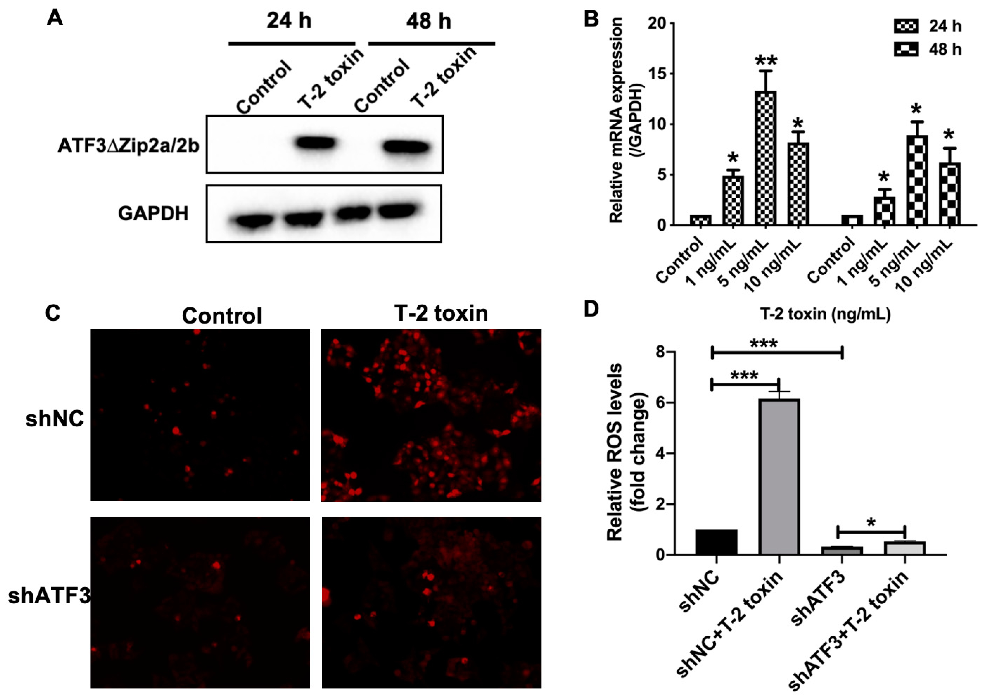Ijms 22 07936 g004 550