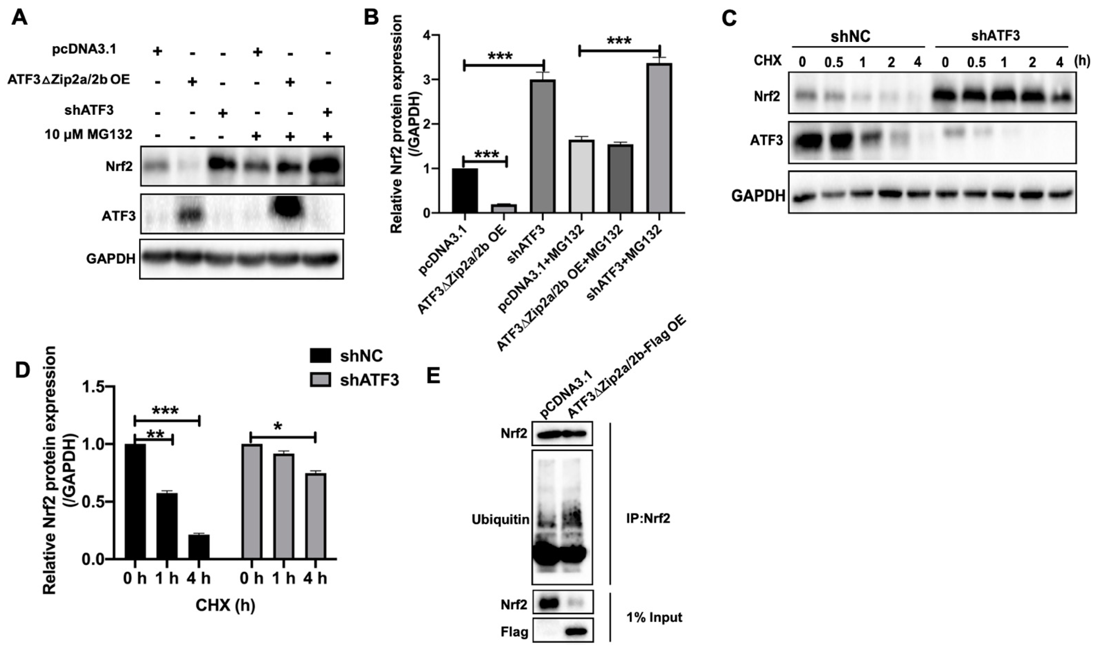 Ijms 22 07936 g006 550