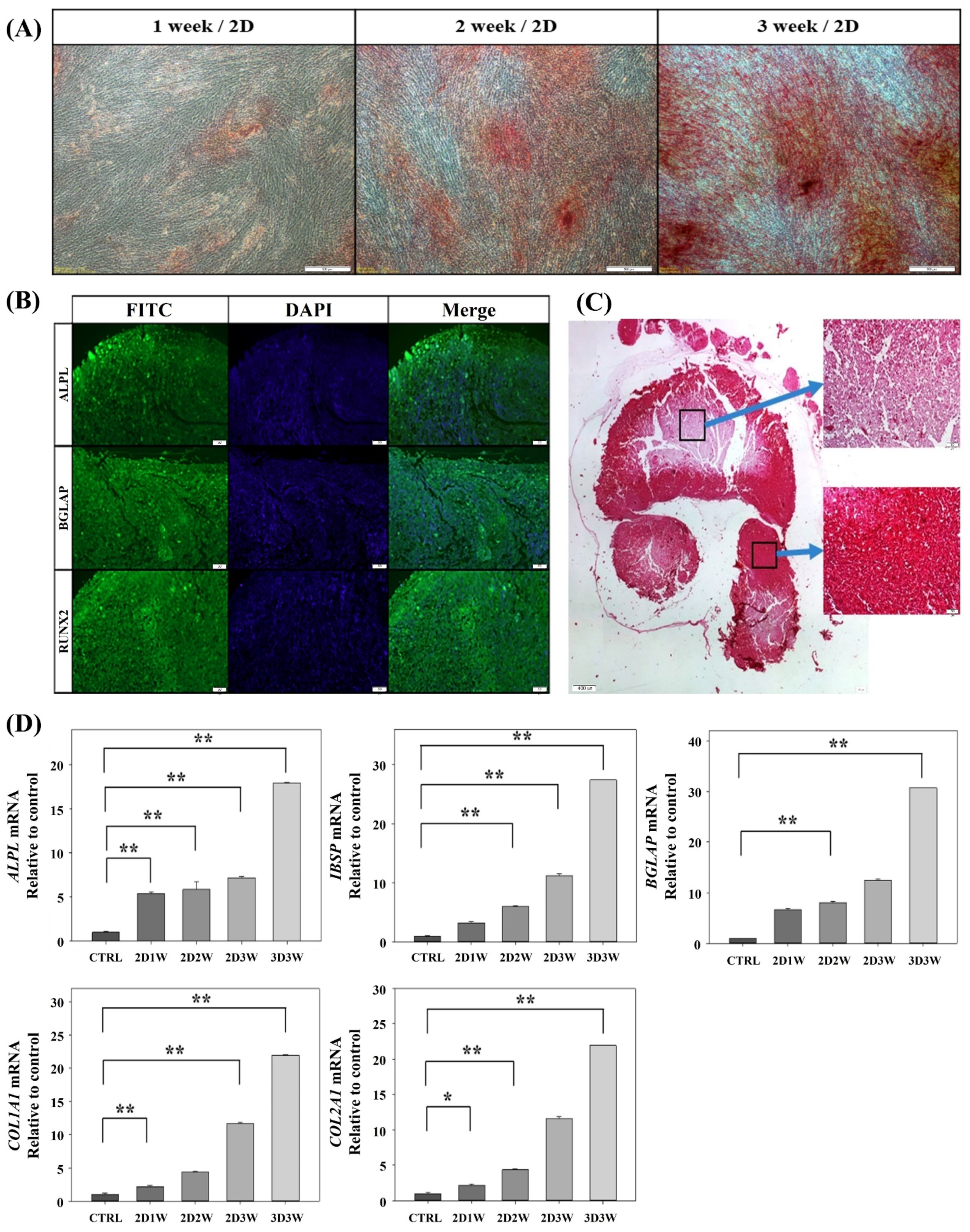 Ijms 22 07939 g002 550