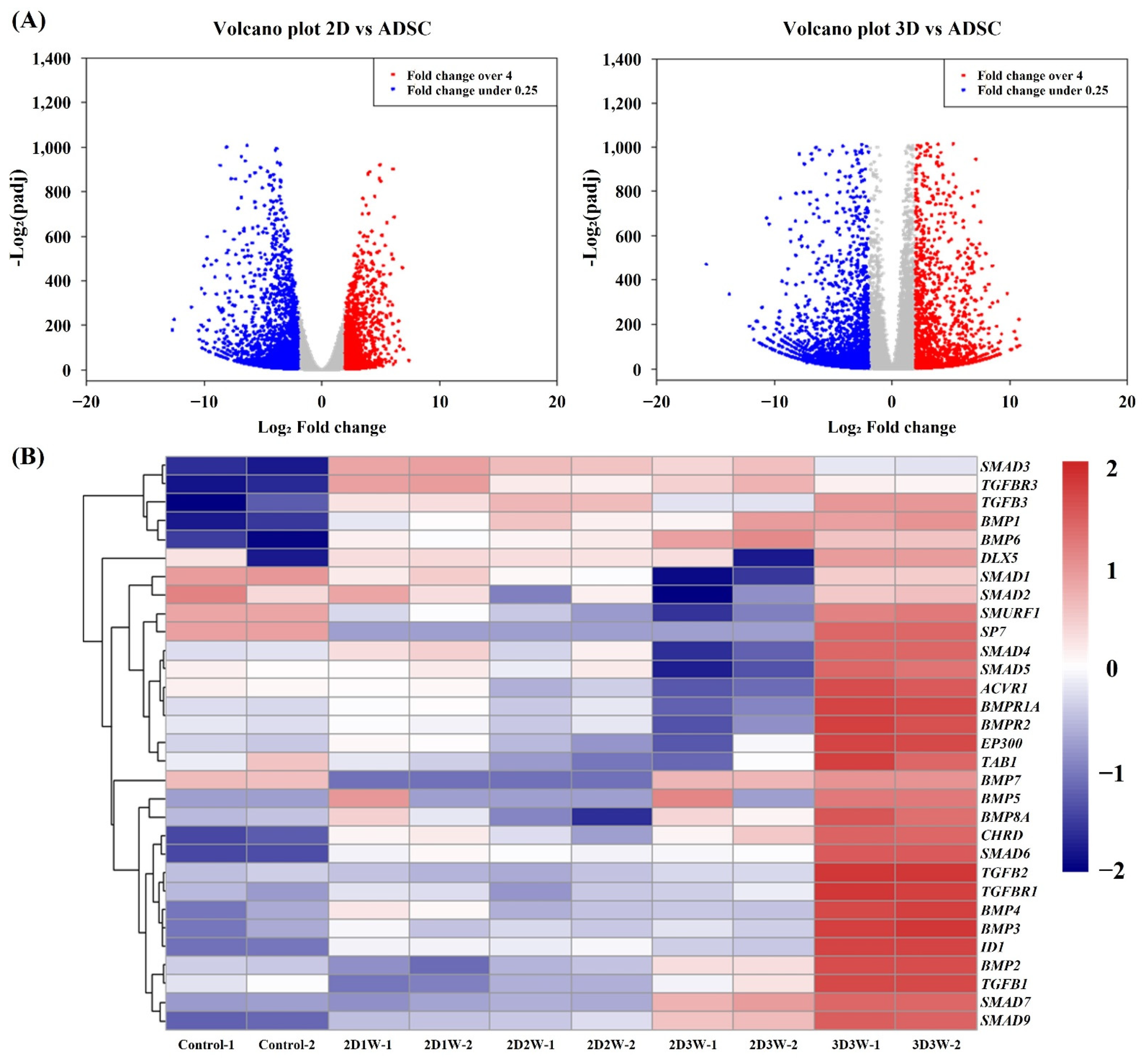 Ijms 22 07939 g004 550