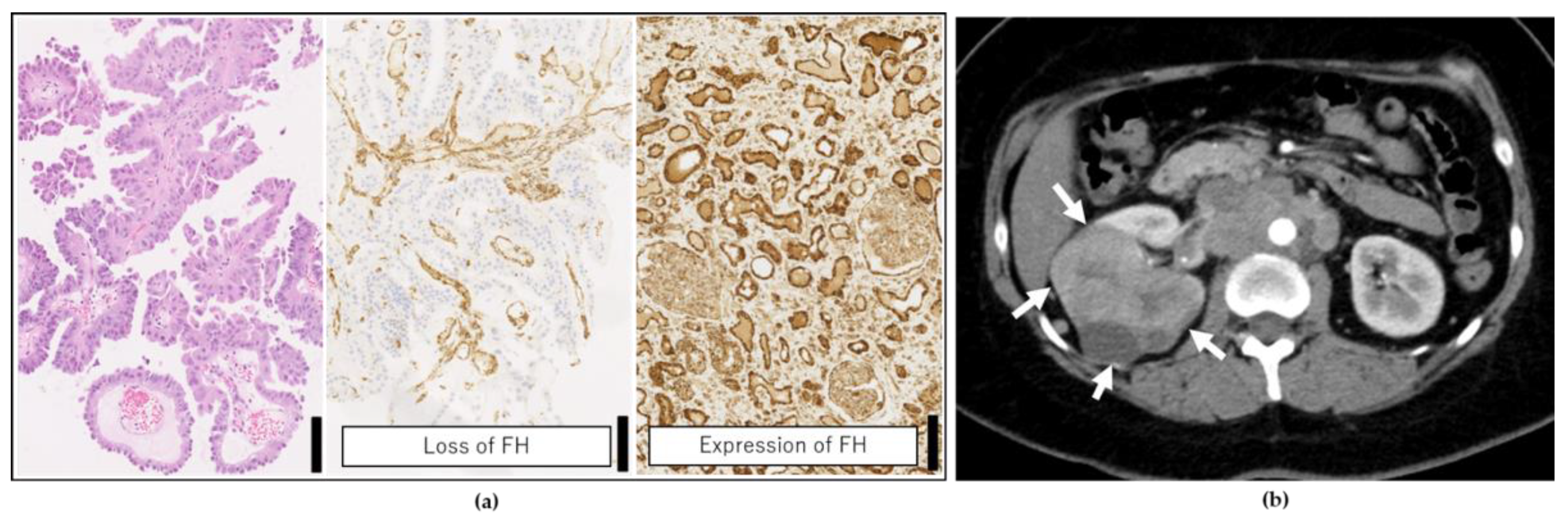 Ijms 22 07962 g002 Ijms 22 07962 g002