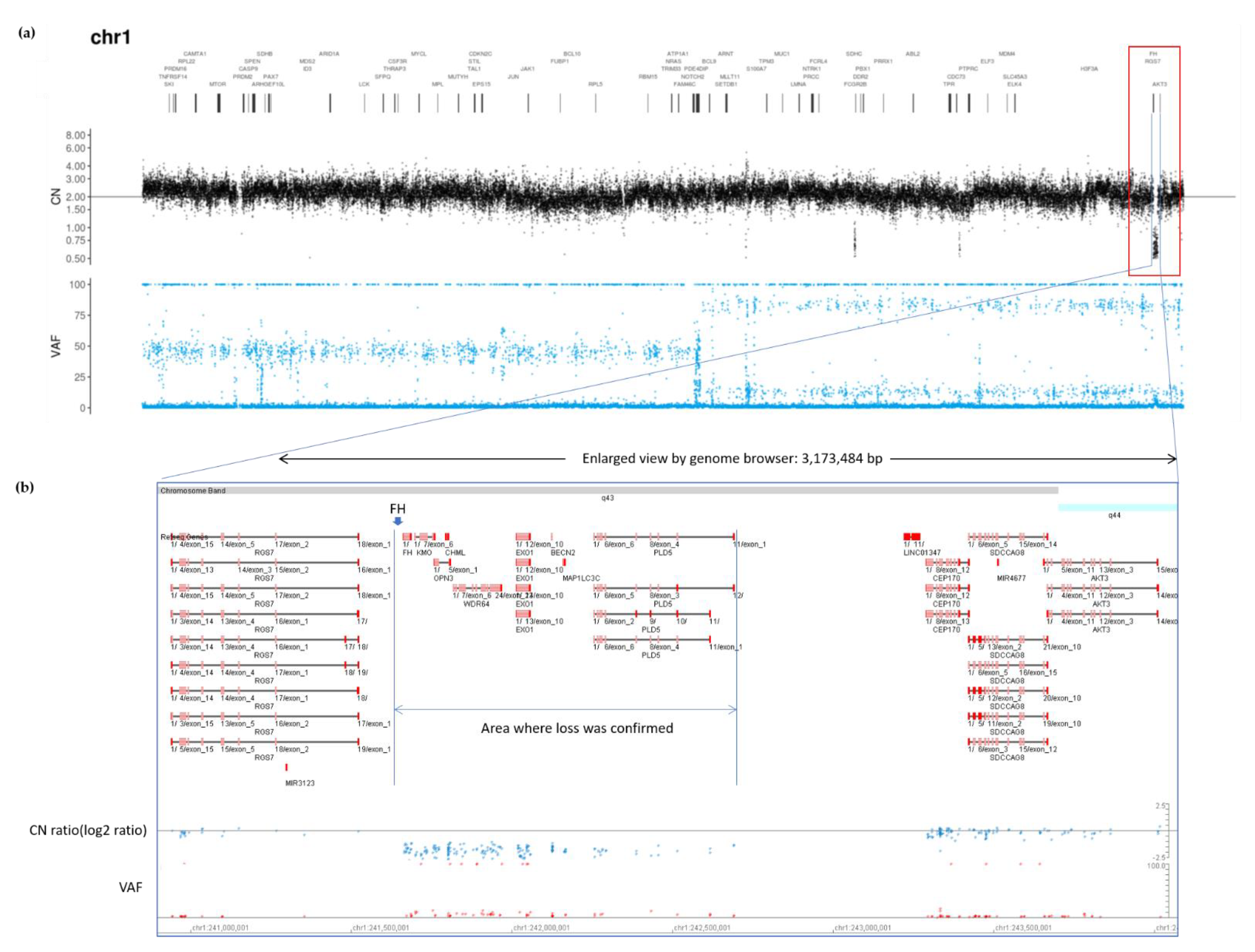 Ijms 22 07962 g004 Ijms 22 07962 g004