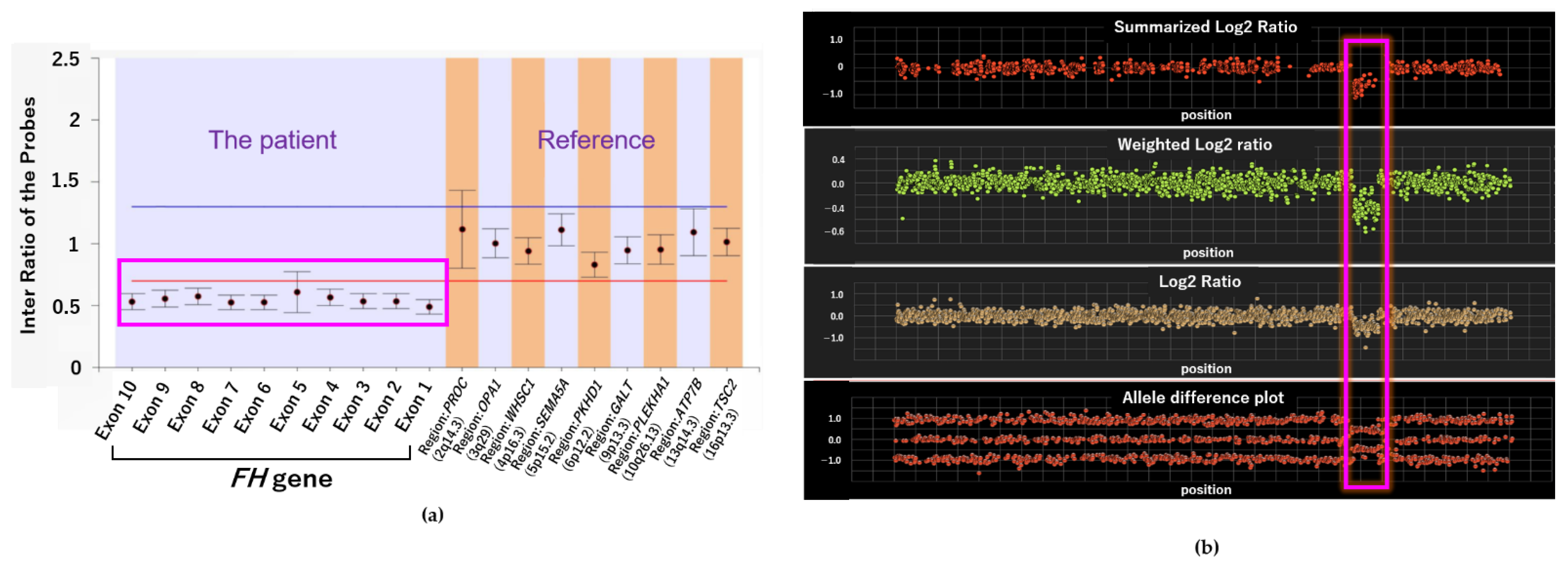 Ijms 22 07962 g006 Ijms 22 07962 g006