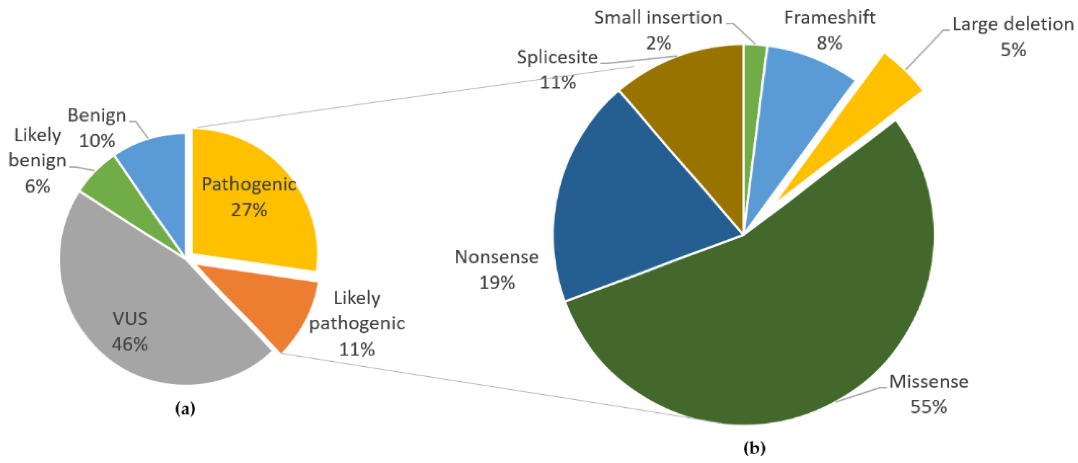 Ijms 22 07962 g007 Ijms 22 07962 g007