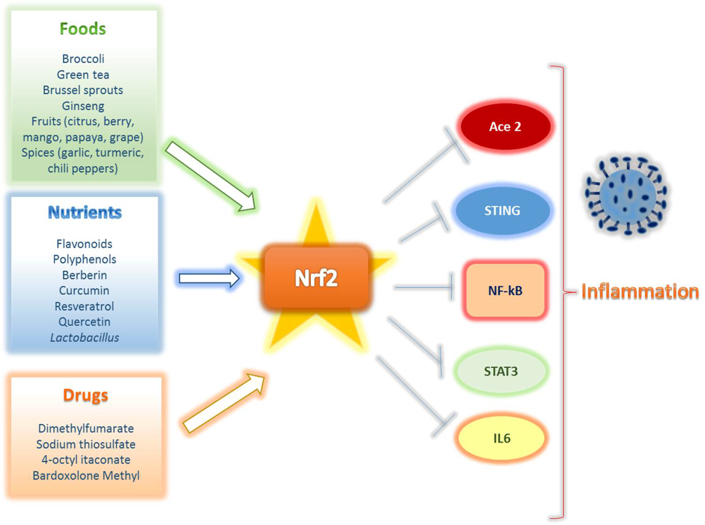 IJMS Free FullText The Good and Bad of Nrf2 An Update in Cancer