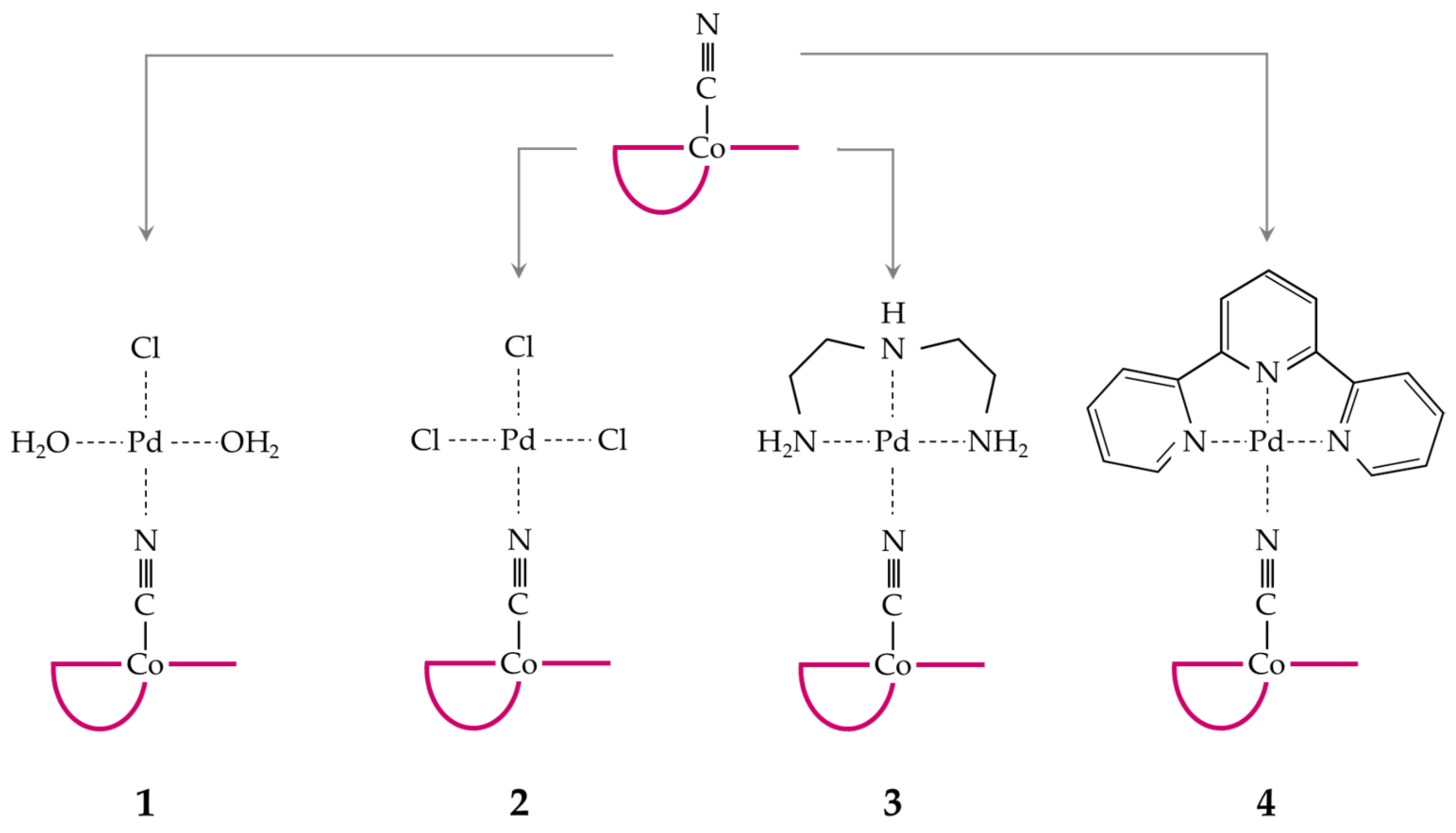Ijms 22 07973 g001 Ijms 22 07973 g001