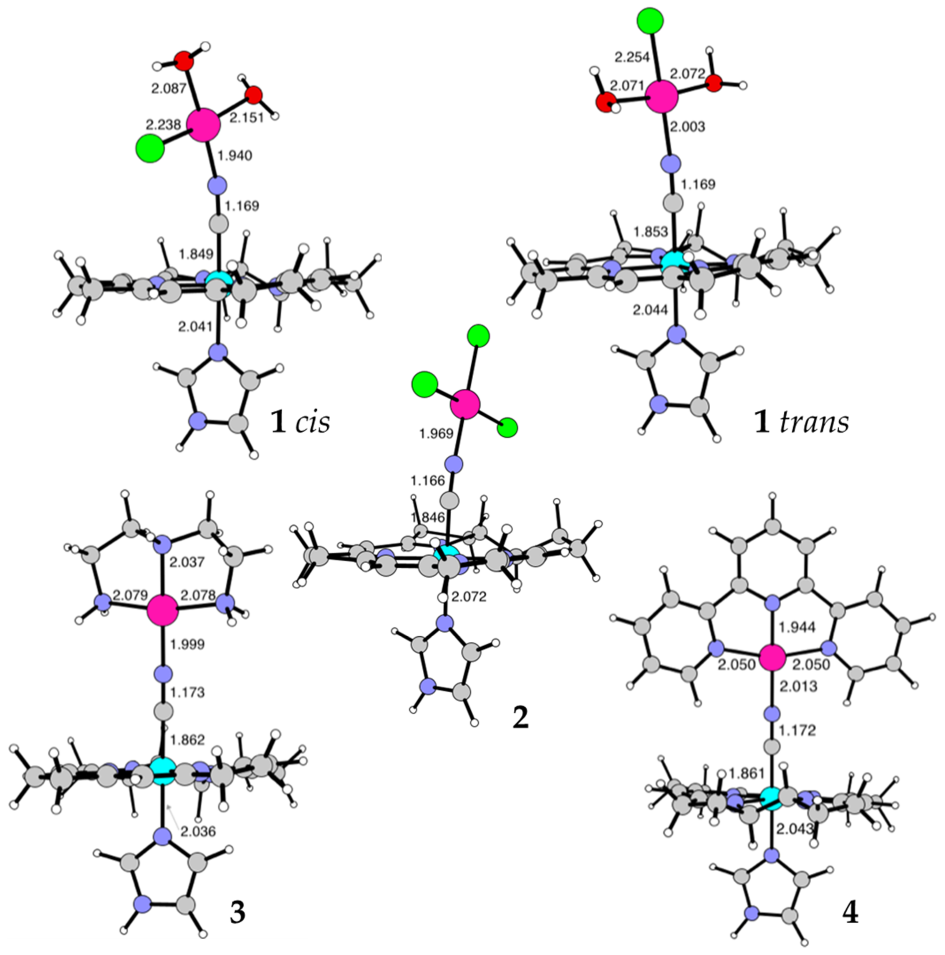 Ijms 22 07973 g008 Ijms 22 07973 g008