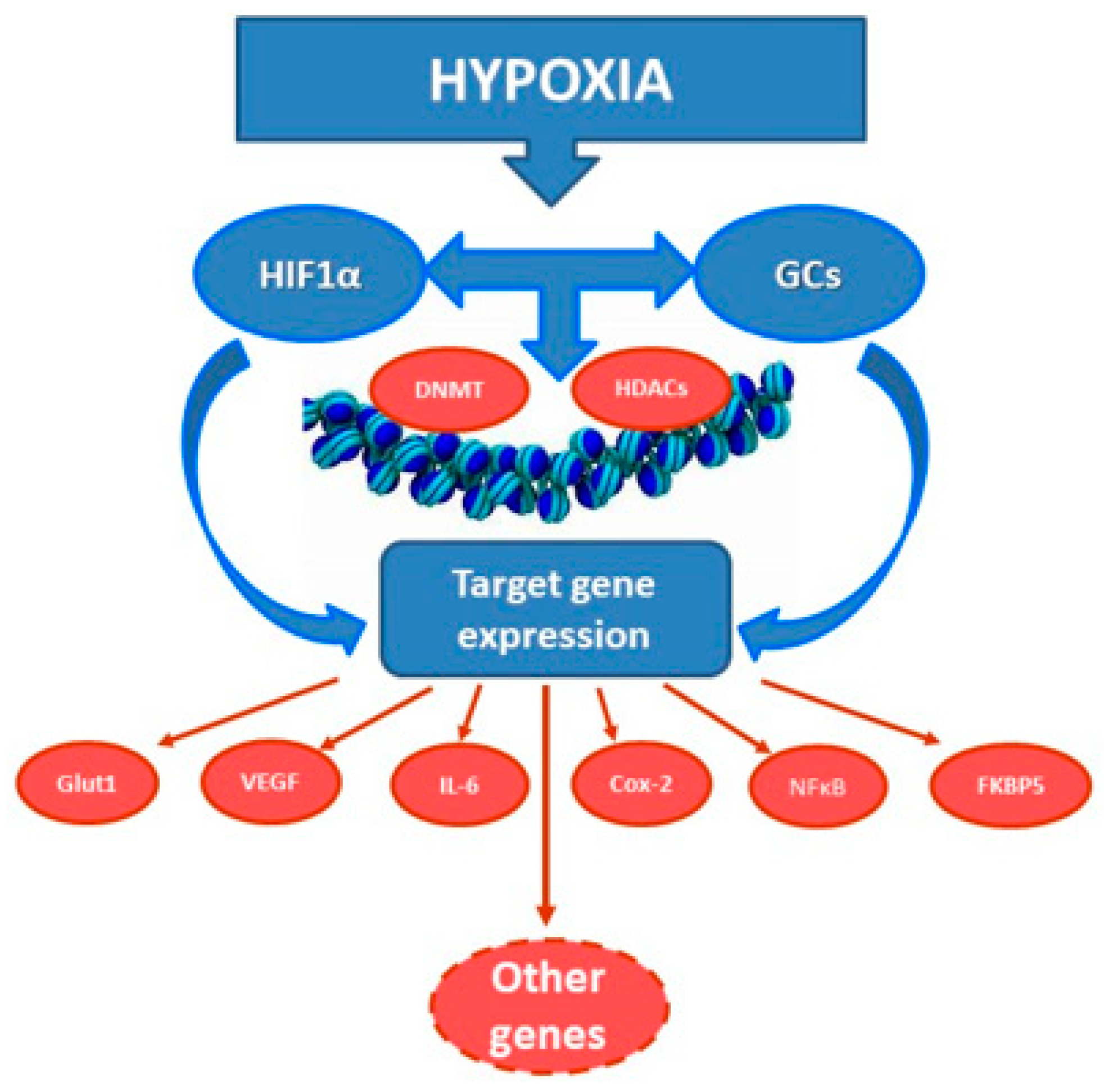 Ijms 22 07982 g002 Ijms 22 07982 g002