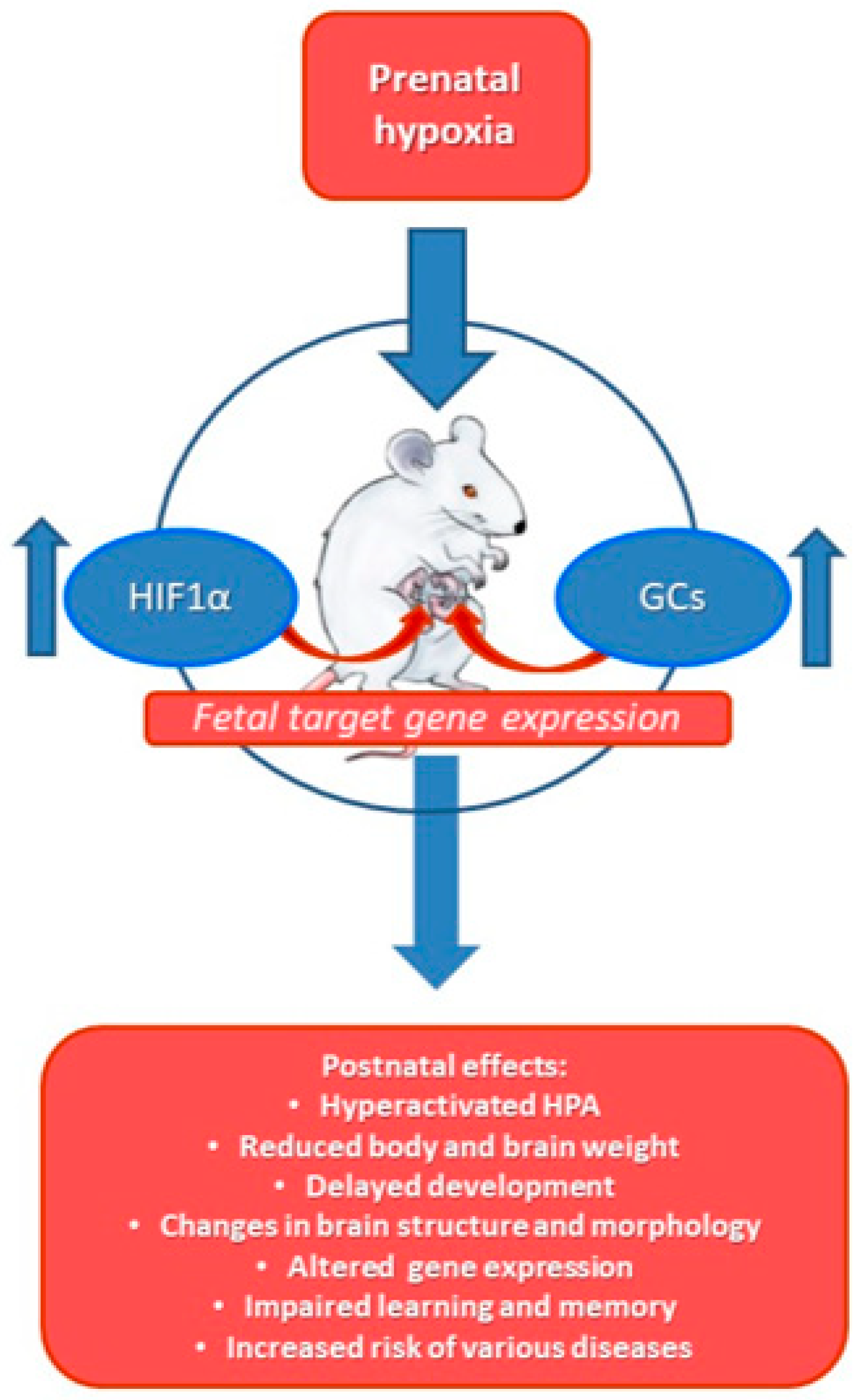 Ijms 22 07982 g003 Ijms 22 07982 g003