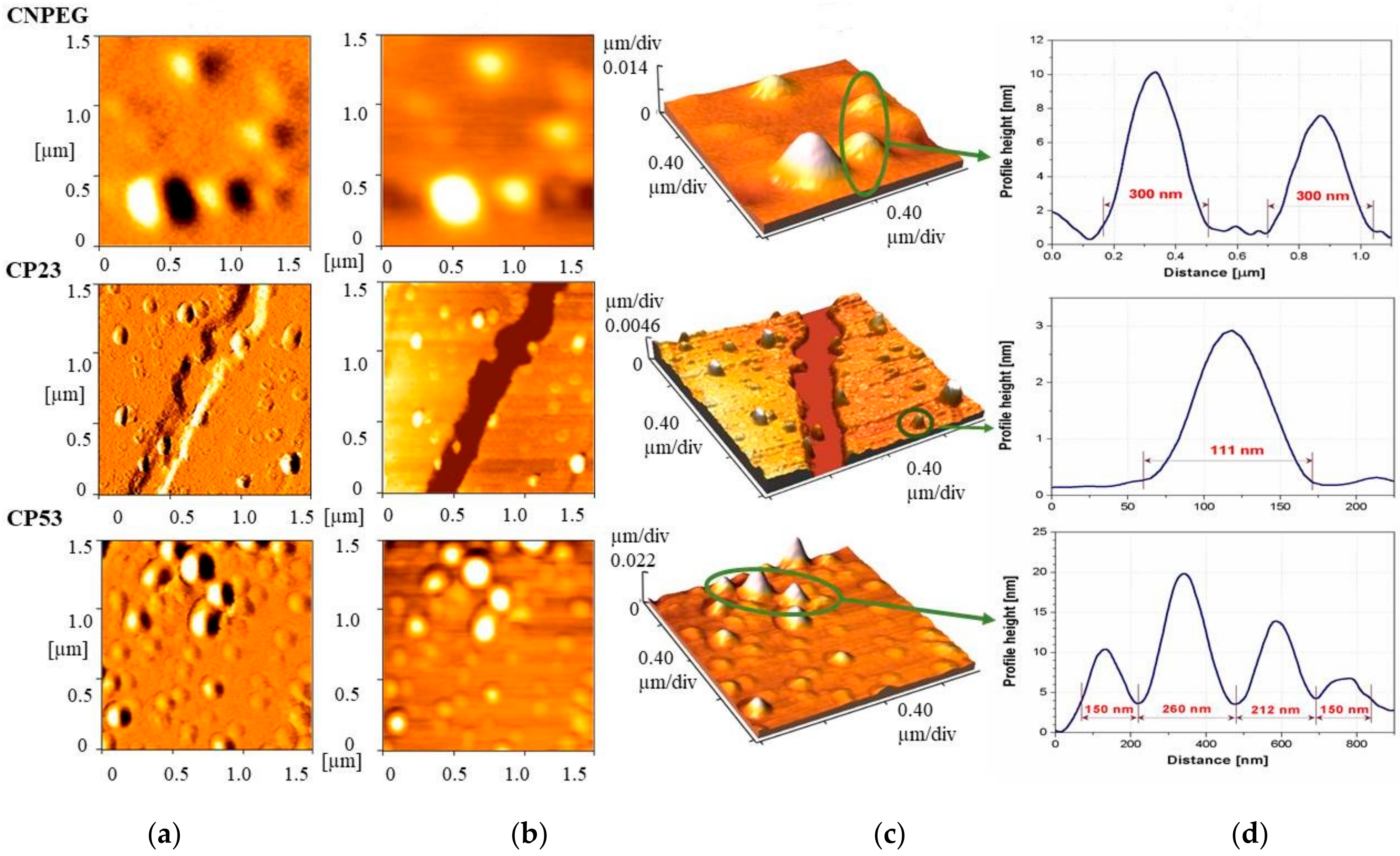 Ijms 22 07991 g004 550