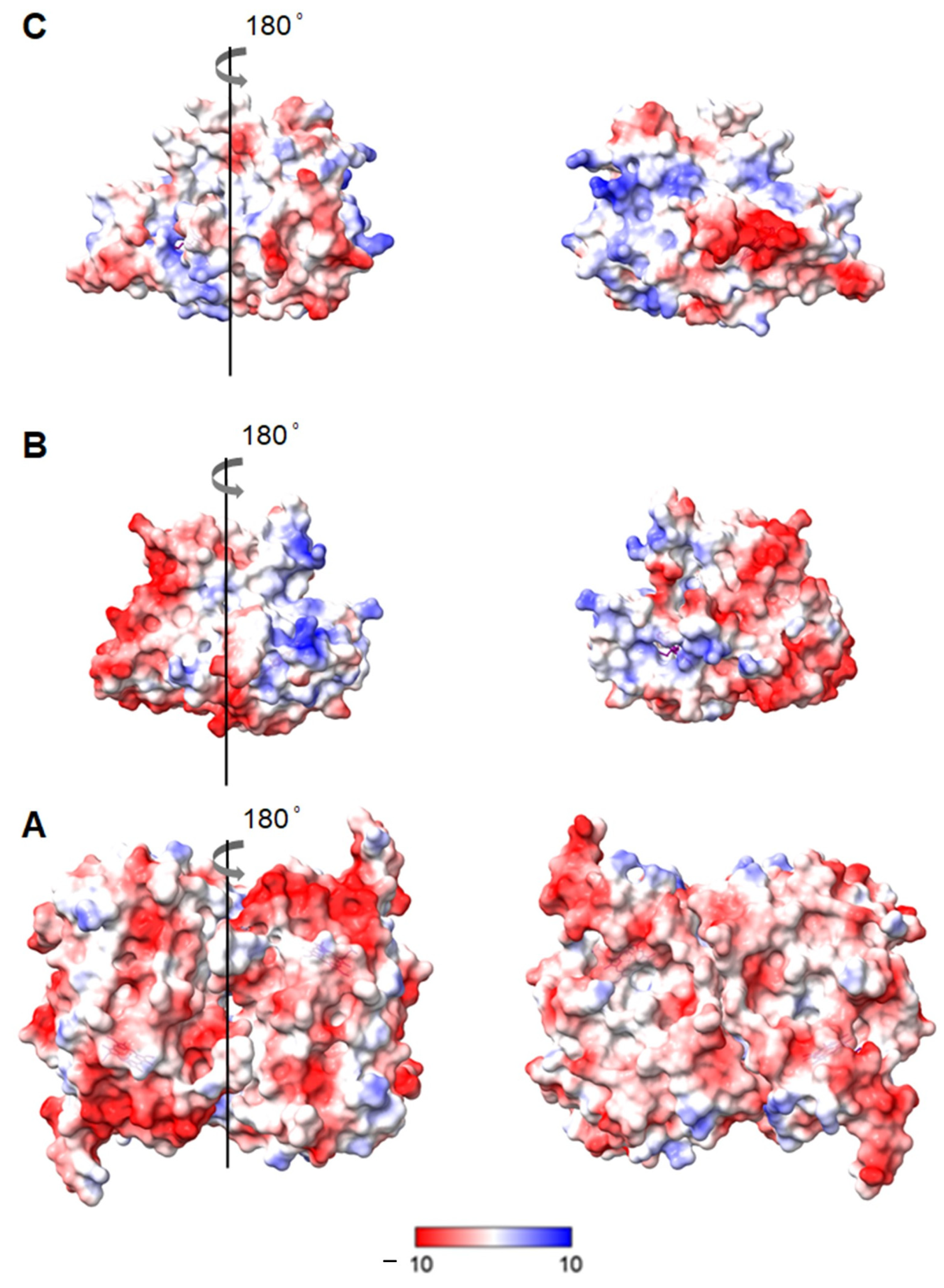 Ijms 22 07998 g001 550