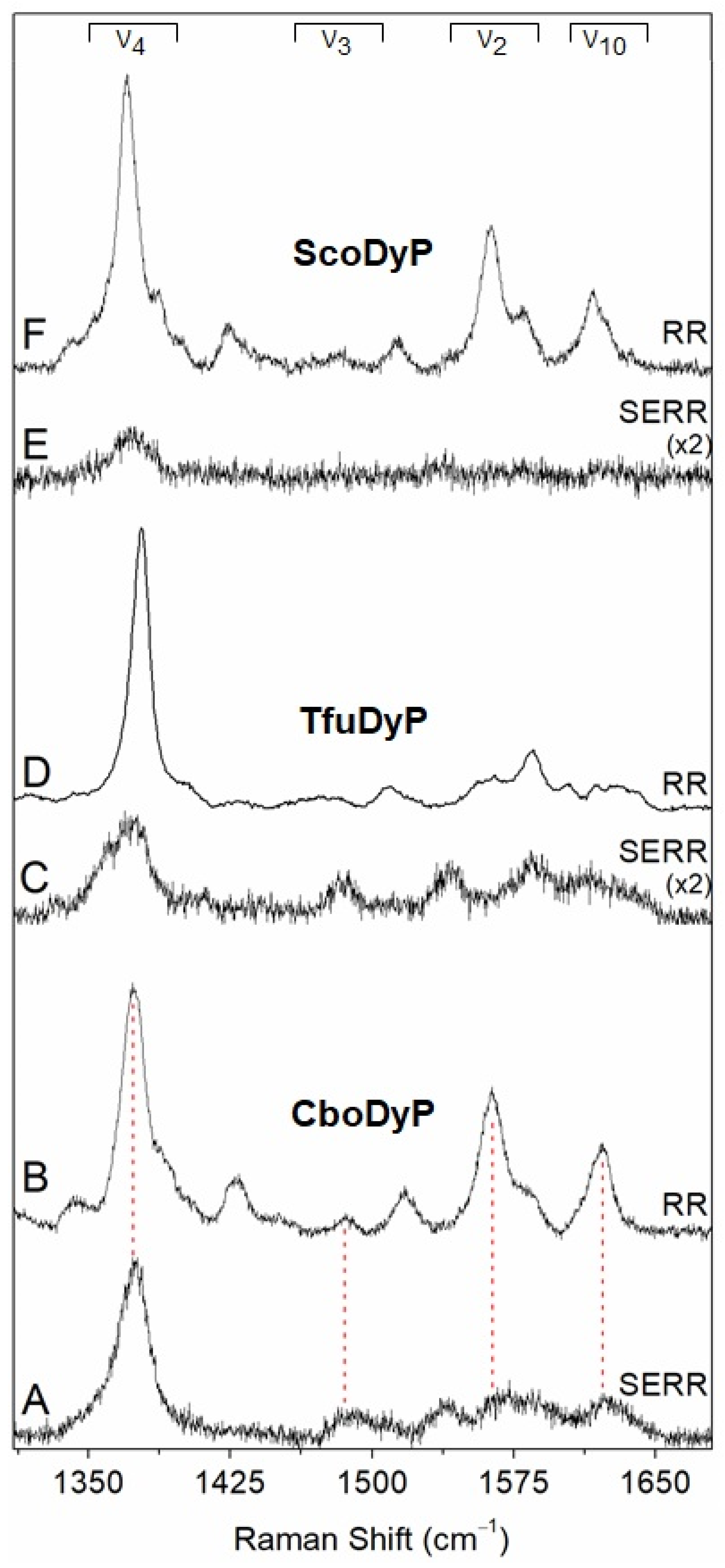 Ijms 22 07998 g002 550