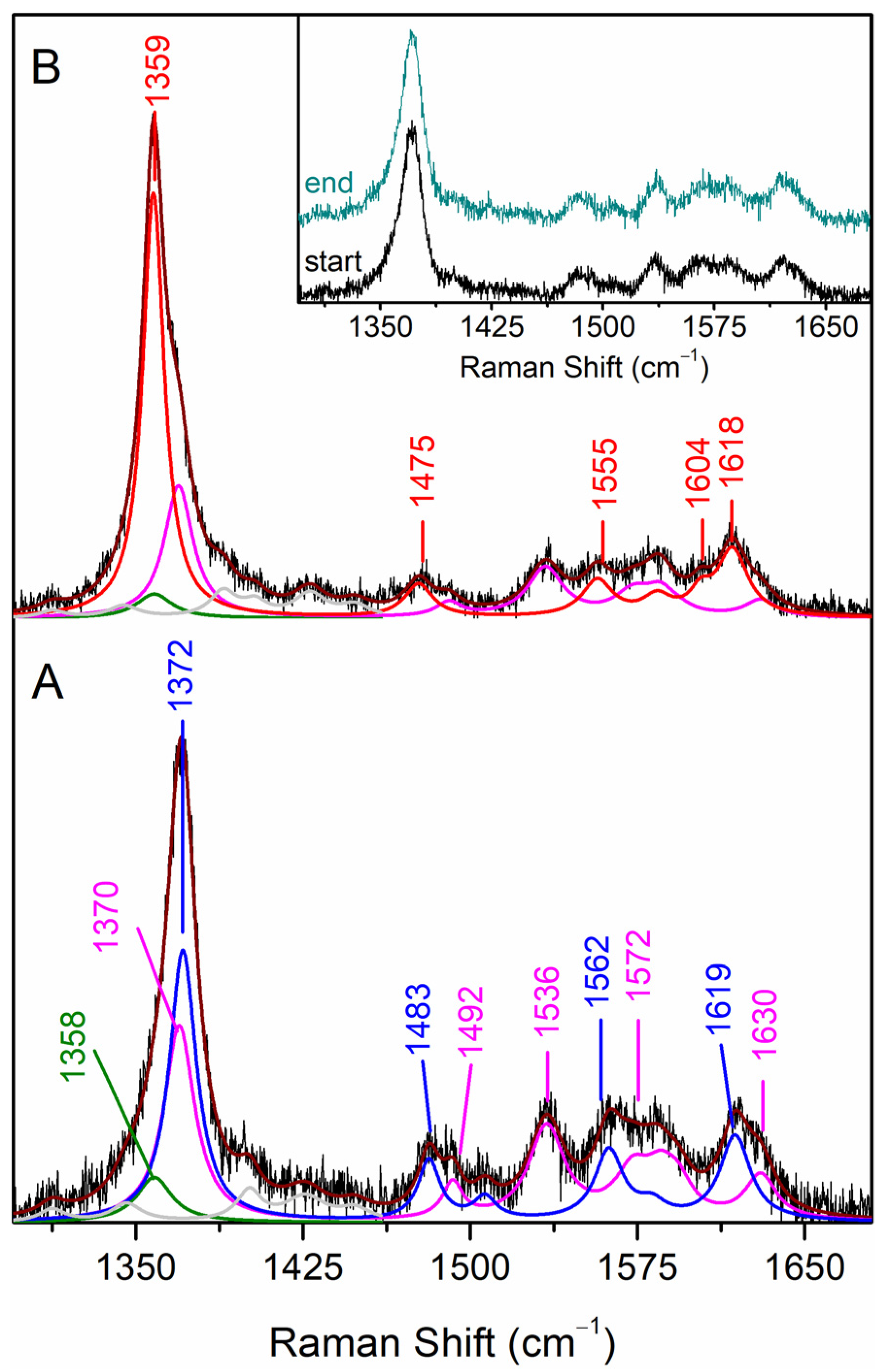 Ijms 22 07998 g003 550