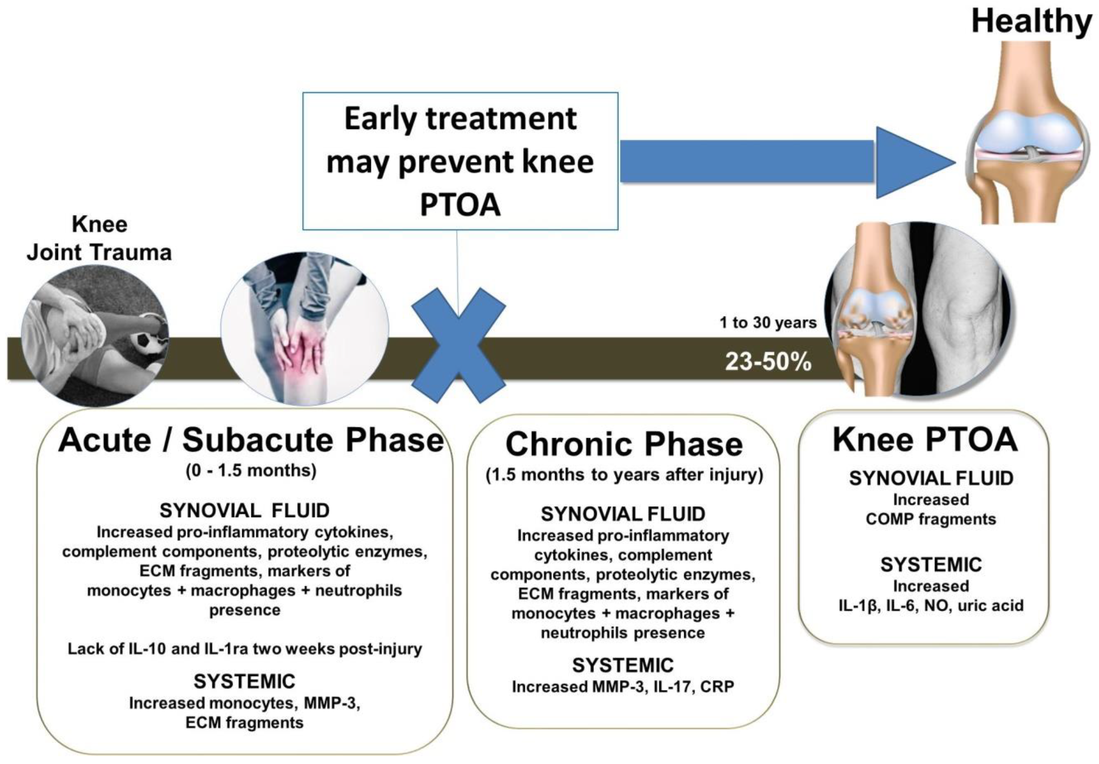 Ijms Free Full Text Anti Inflammatory Therapeutic Approaches To Prevent Or Delay Post Traumatic Osteoarthritis Ptoa Of The Knee Joint With A Focus On Sustained Delivery Approaches Html Ijms Free Full Text Anti Inflammatory Therapeutic Approaches To Prevent Or Delay Post Traumatic Osteoarthritis Ptoa Of The Knee Joint With A Focus On Sustained Delivery Approaches Html