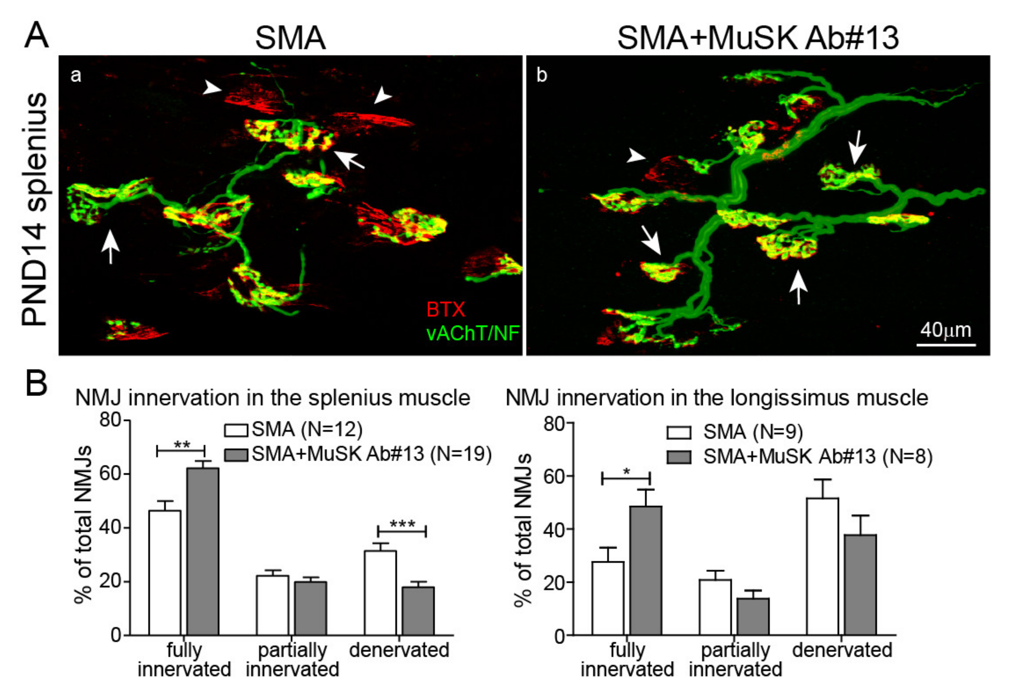 Ijms 22 08015 g002 550