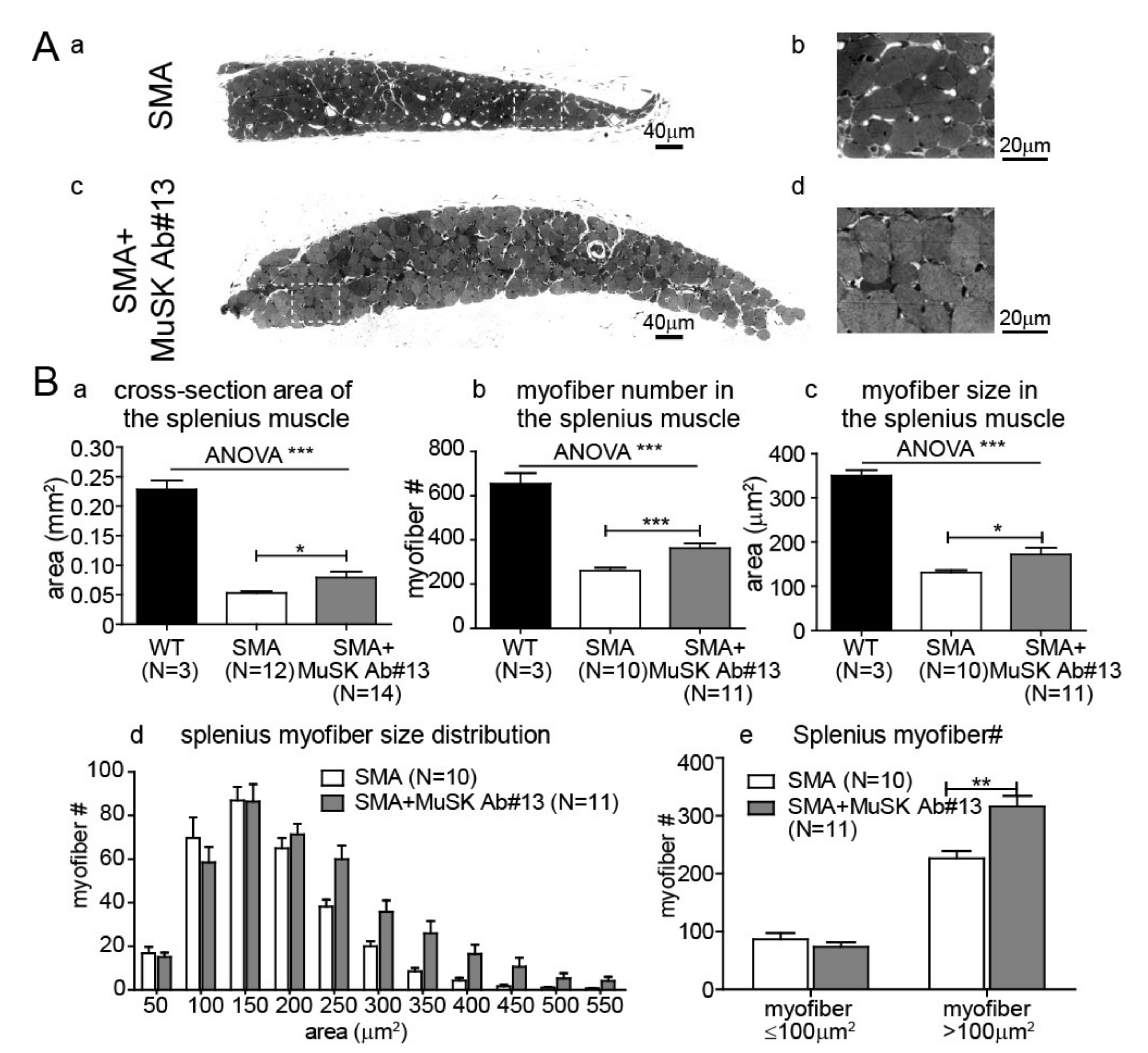 Ijms 22 08015 g004 550