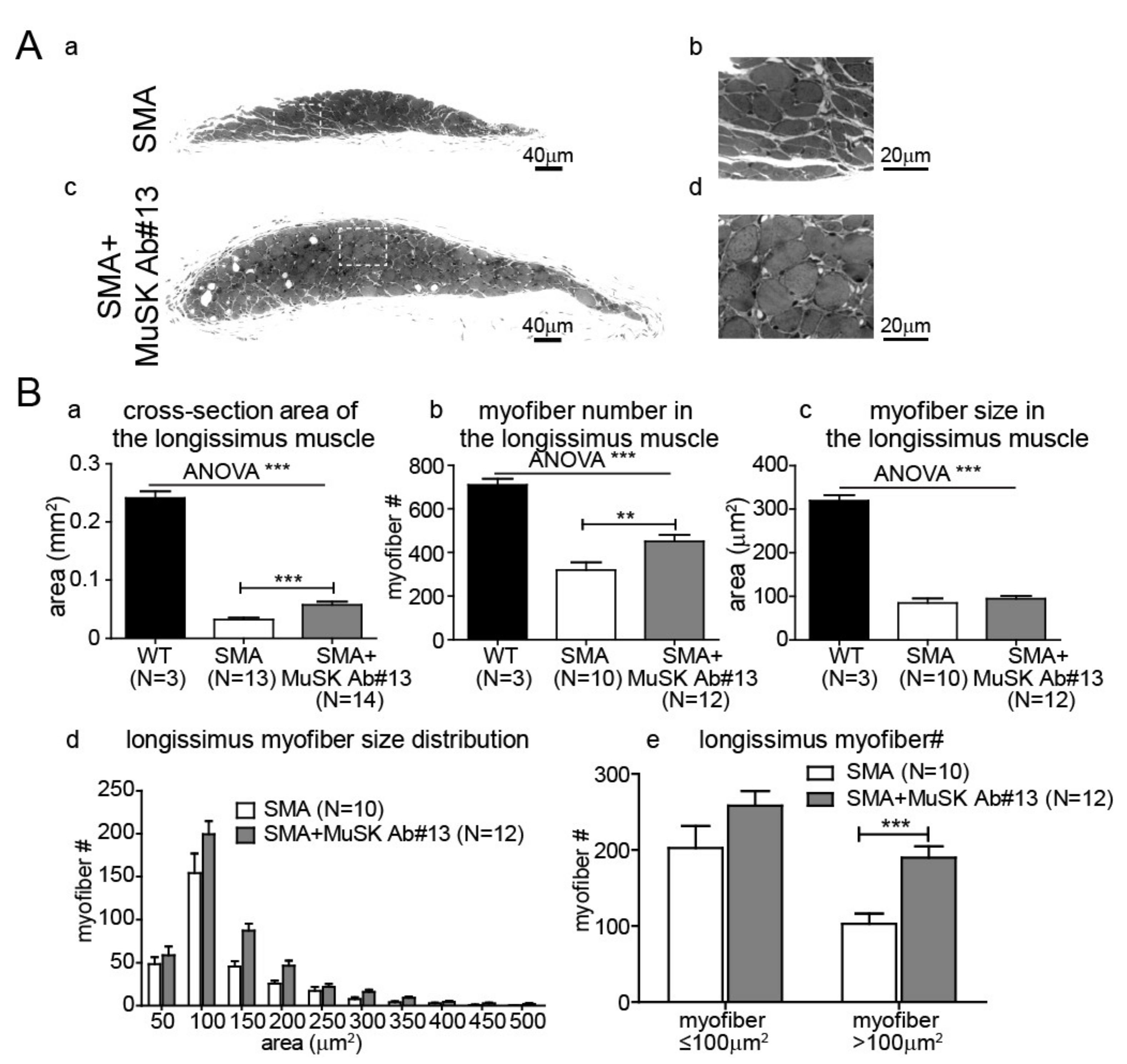 Ijms 22 08015 g005 550