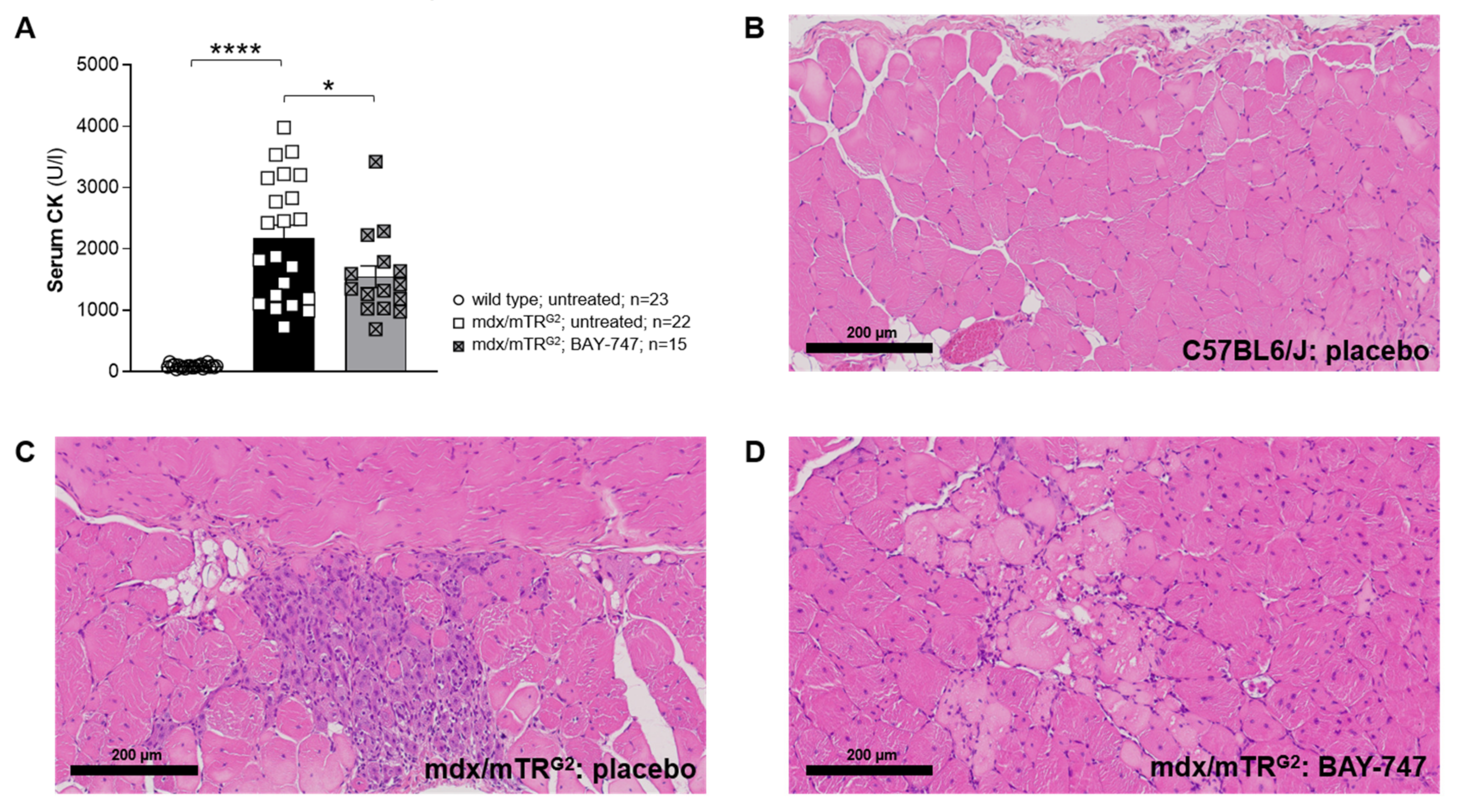 Ijms 22 08016 g005 550