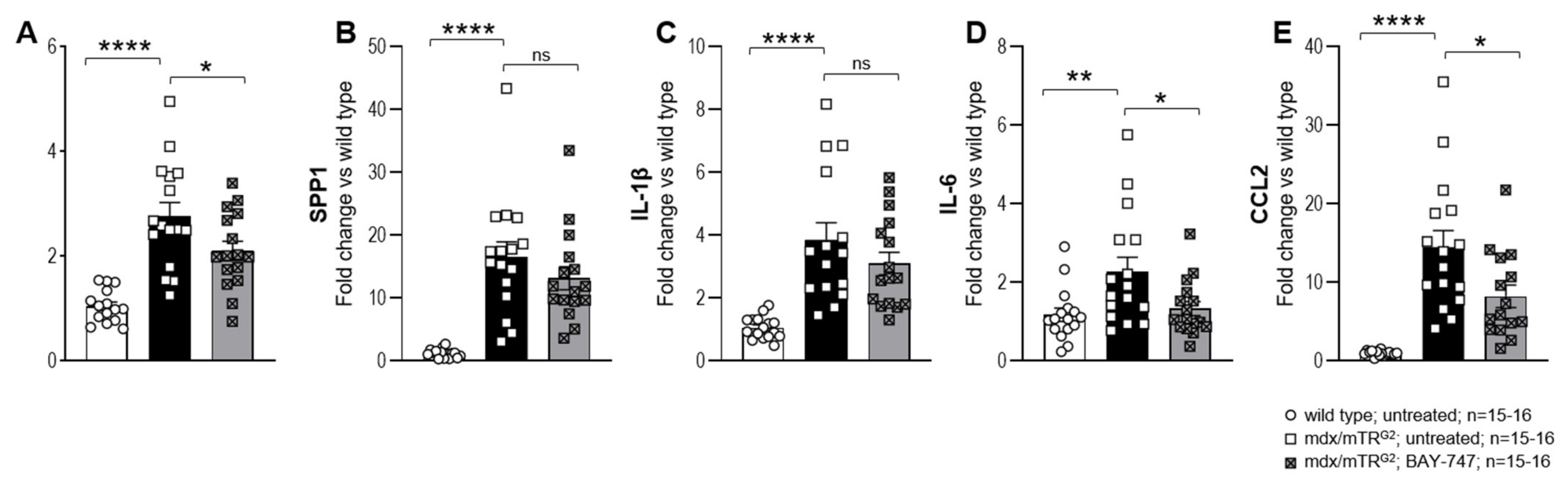 Ijms 22 08016 g006a 550