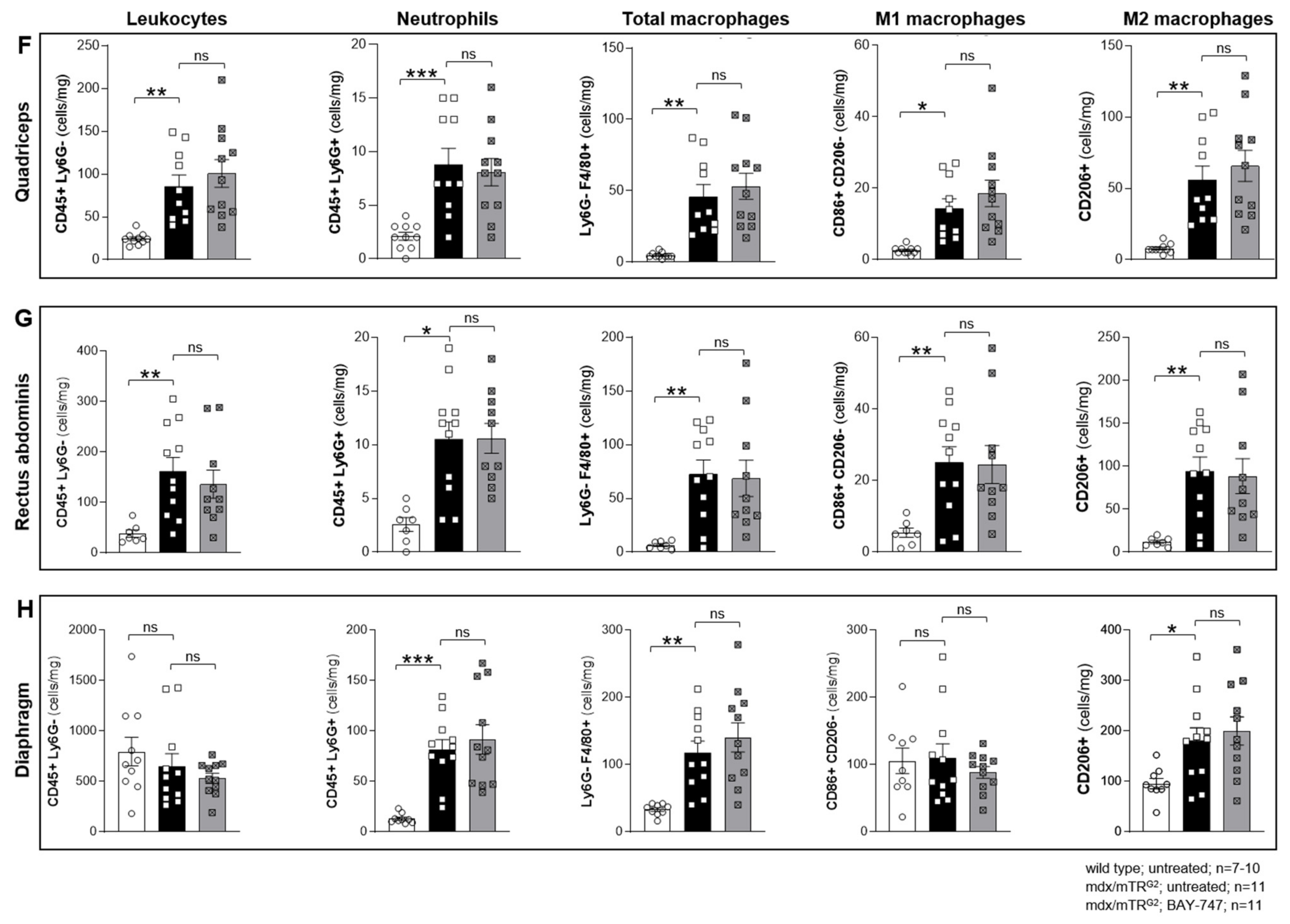 Ijms 22 08016 g006b 550