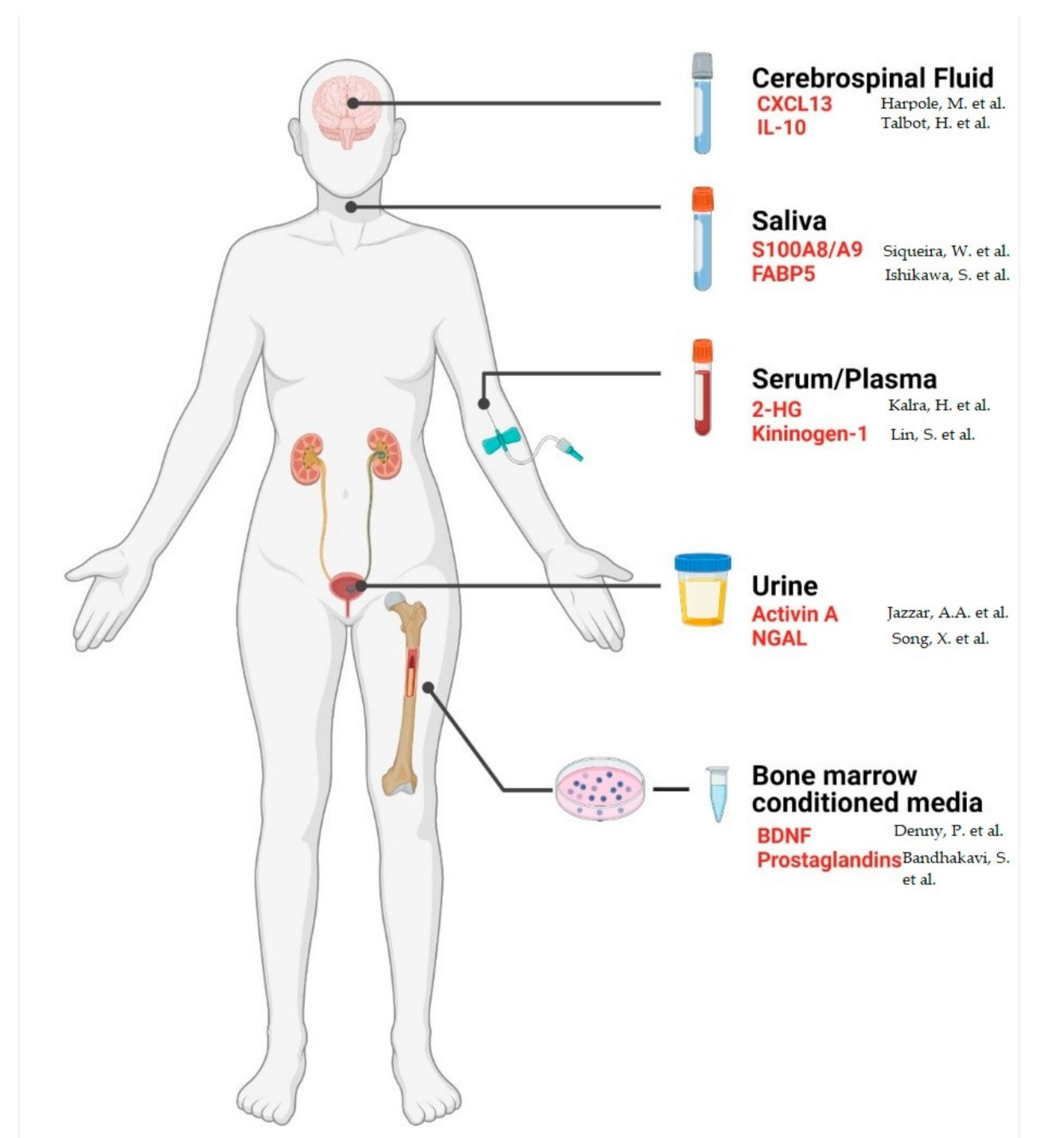 Clinical Proteomics of Biofluids in Haematological Malignancies