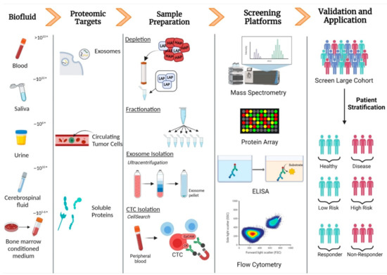 Clinical Proteomics of Biofluids in Haematological Malignancies