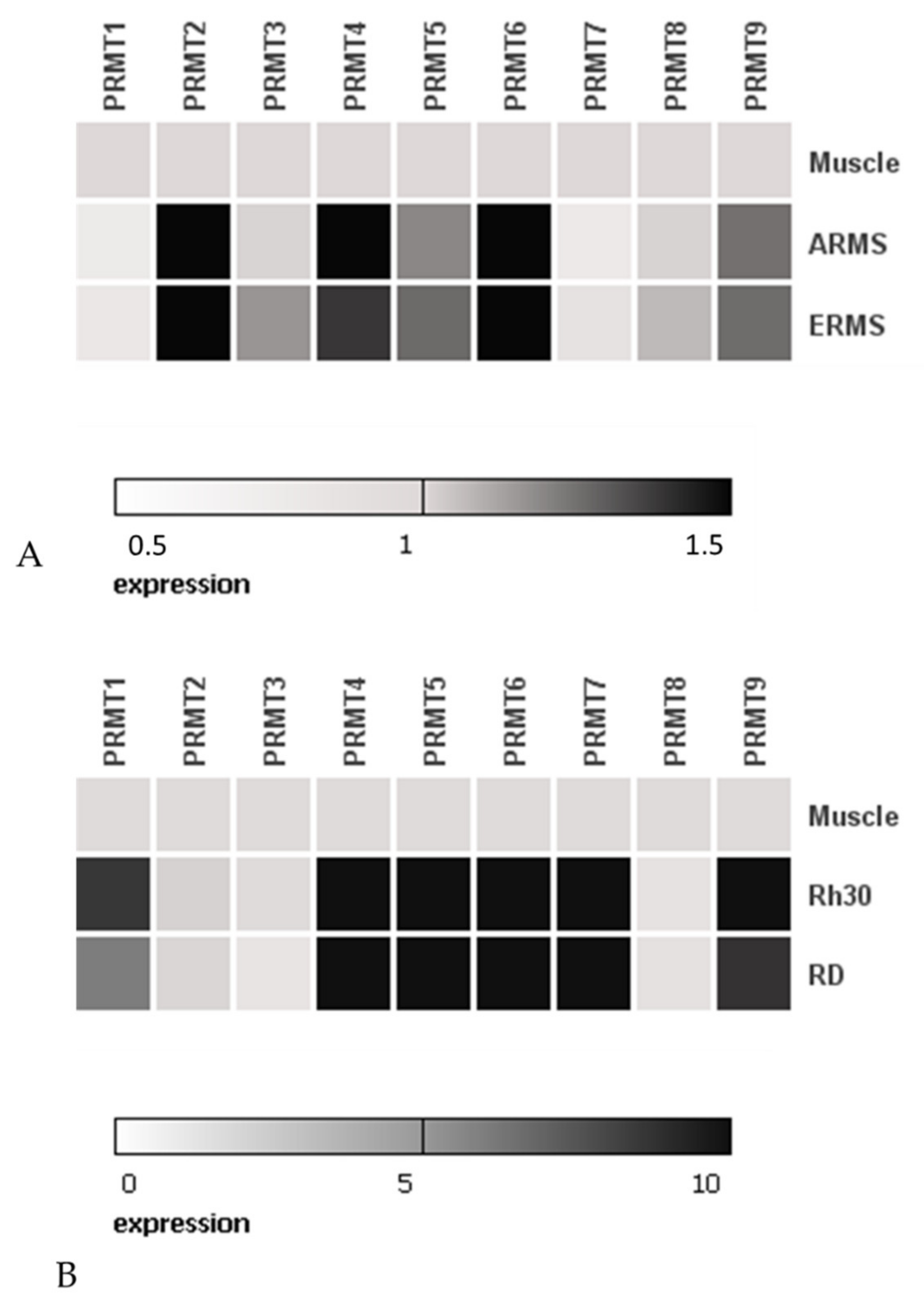Ijms 22 08023 g001 550
