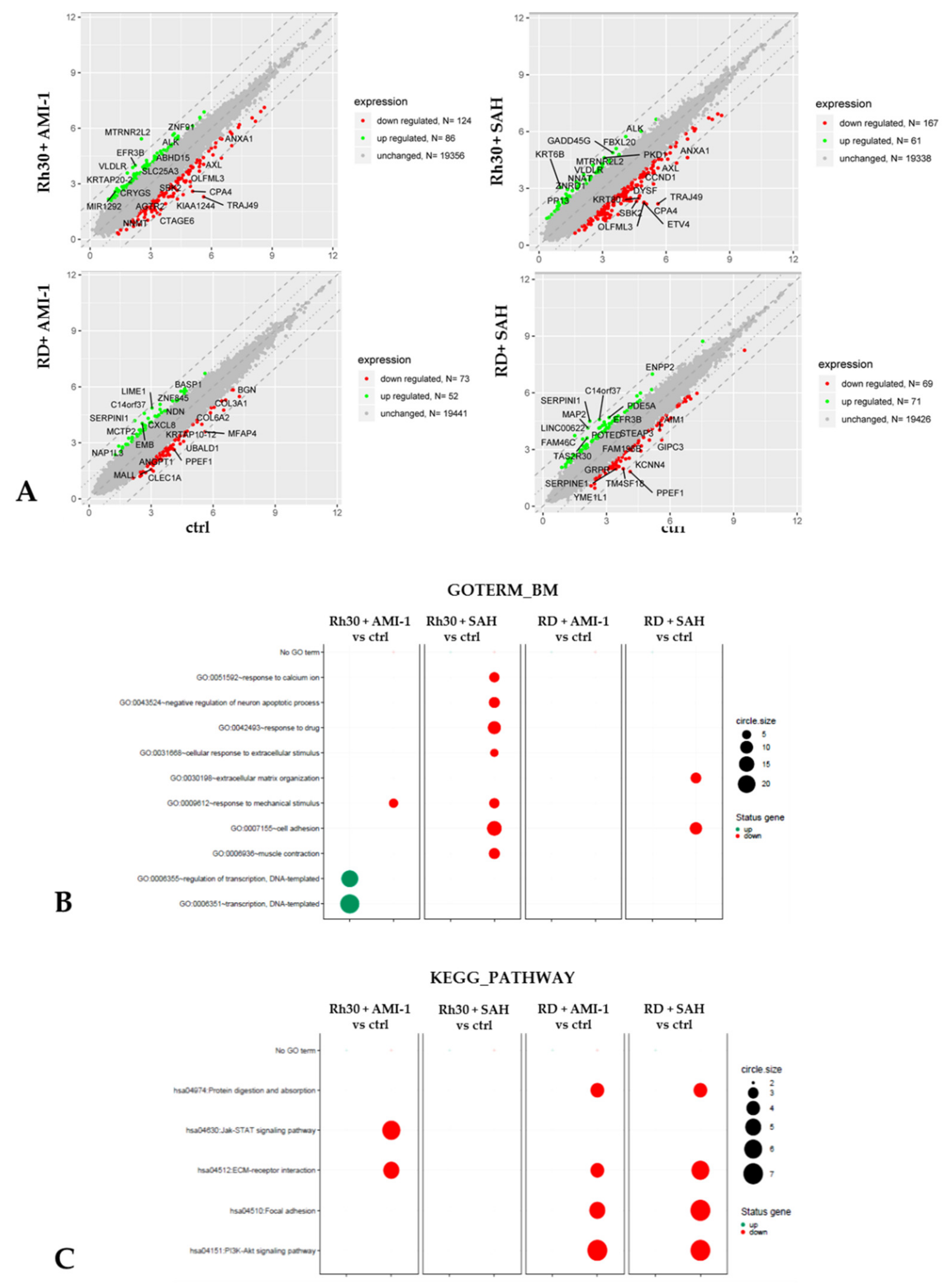 Ijms 22 08023 g006 550
