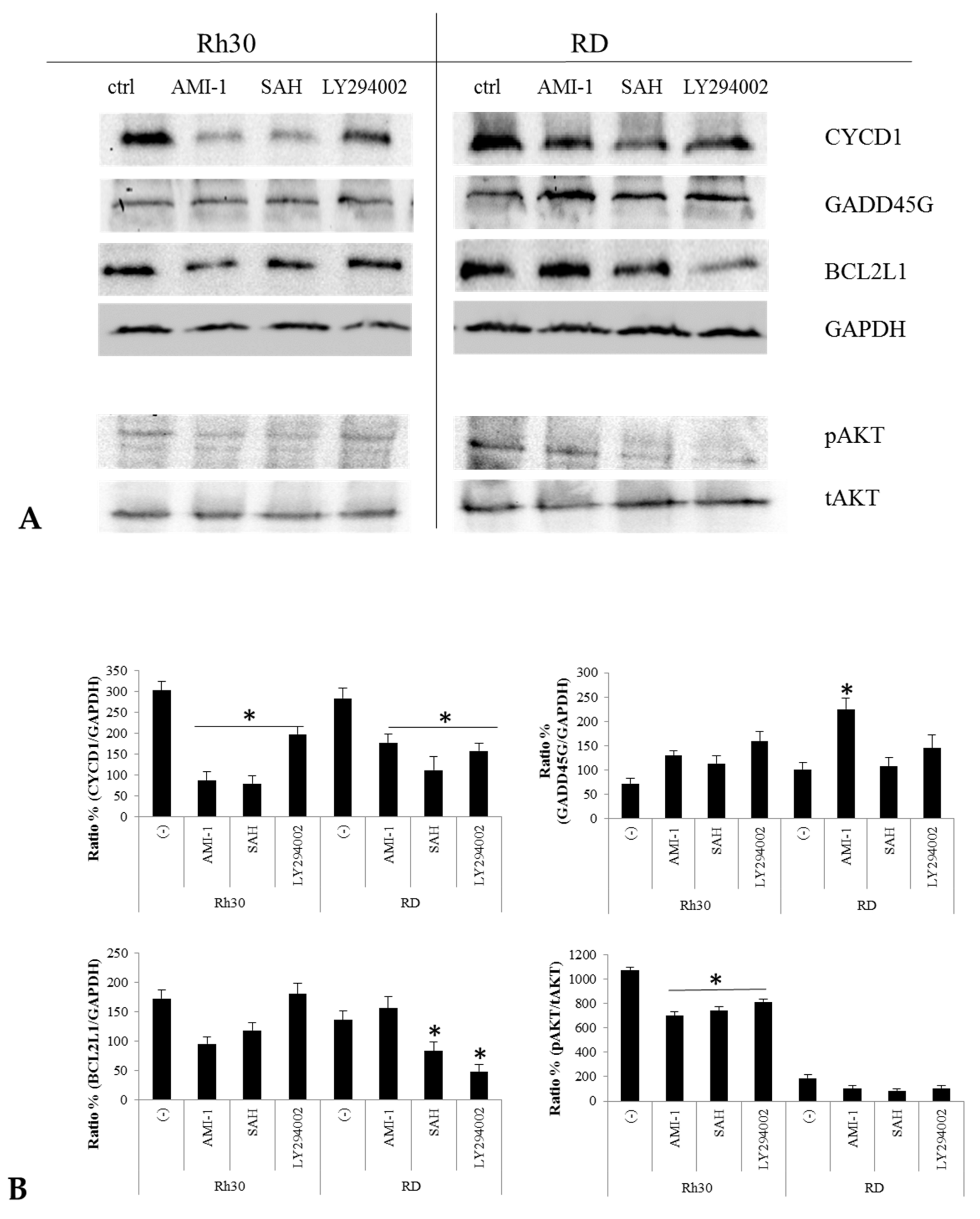 Ijms 22 08023 g008 550