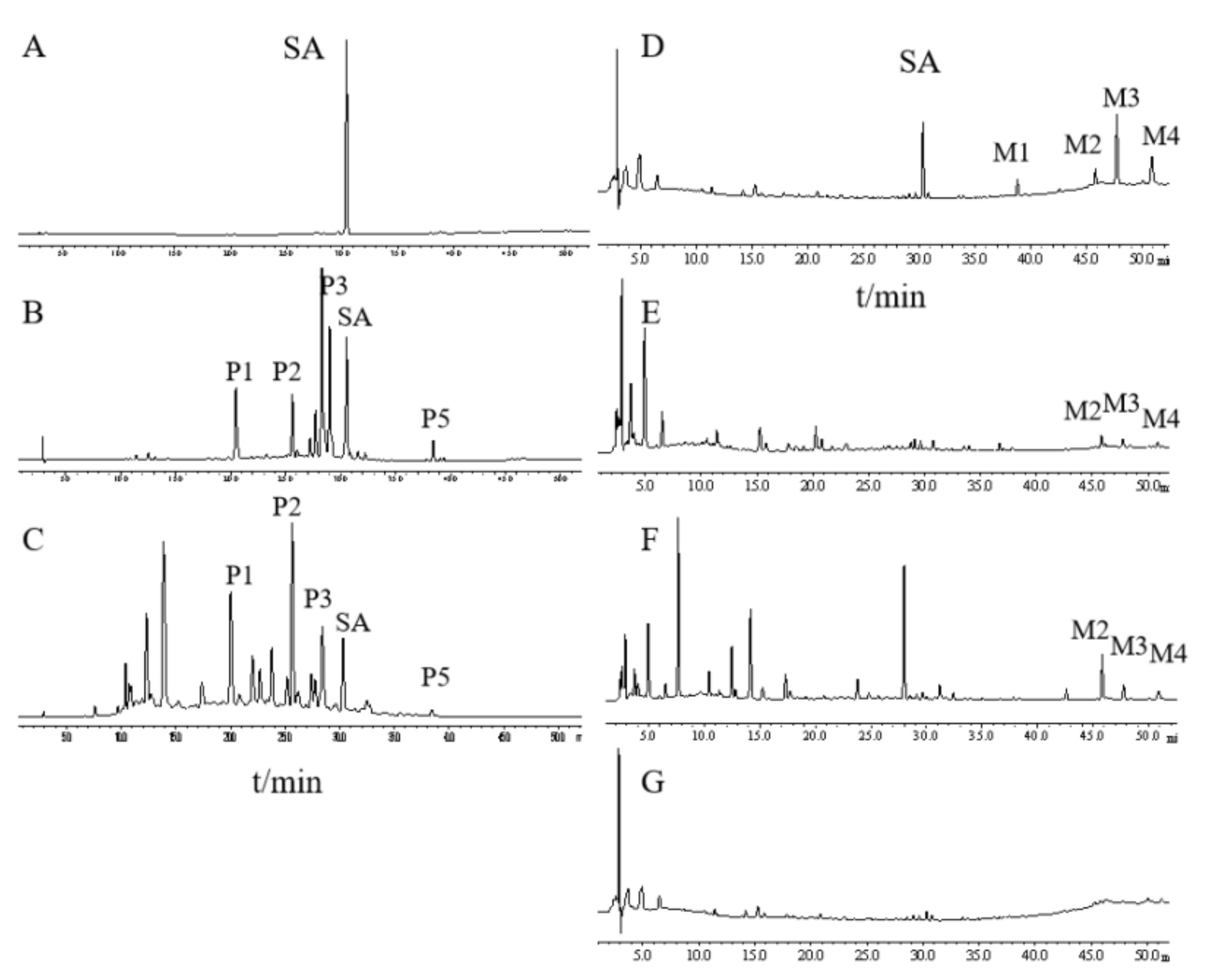 Ijms 22 08026 g001 550