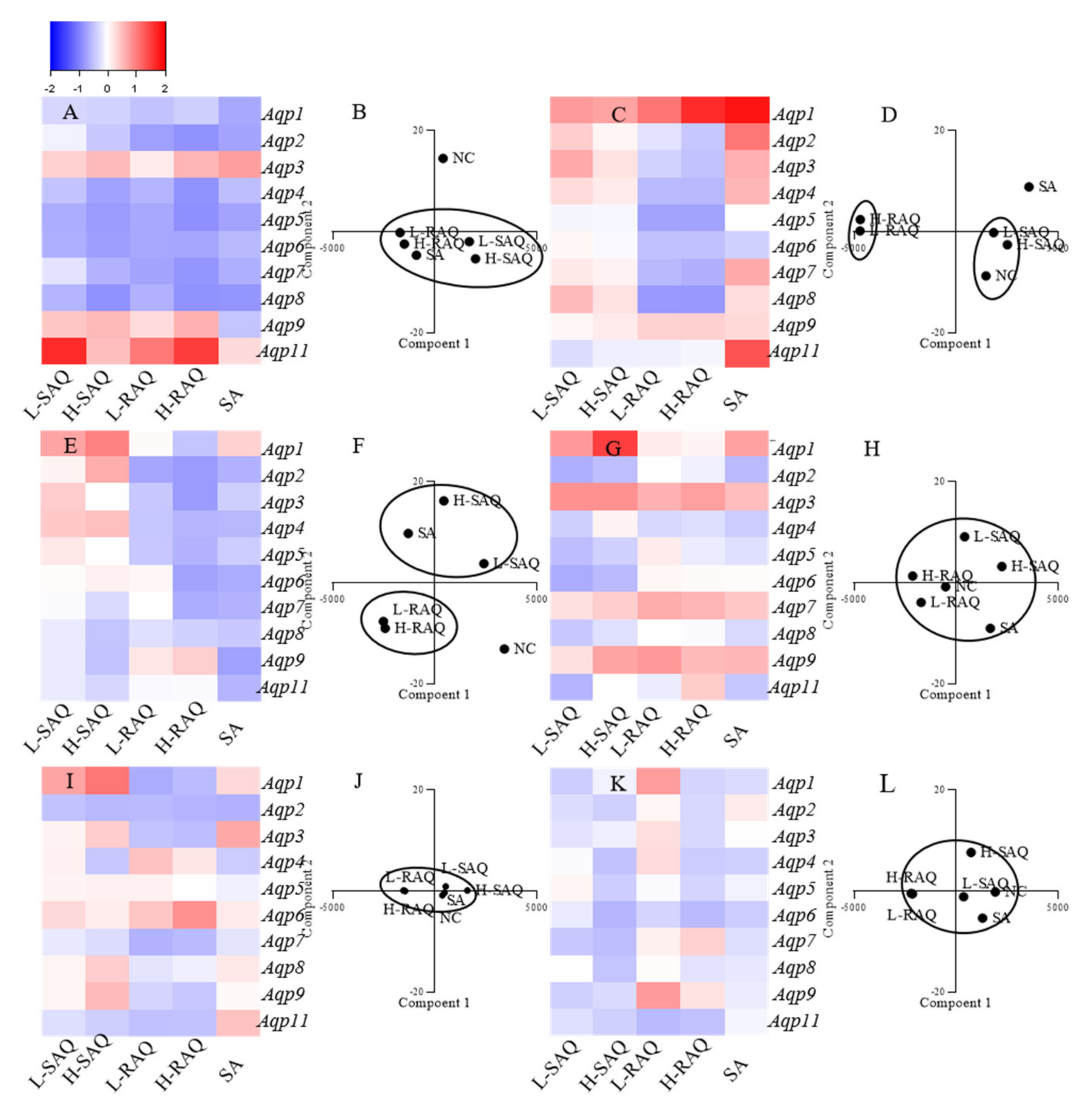 Ijms 22 08026 g005 550