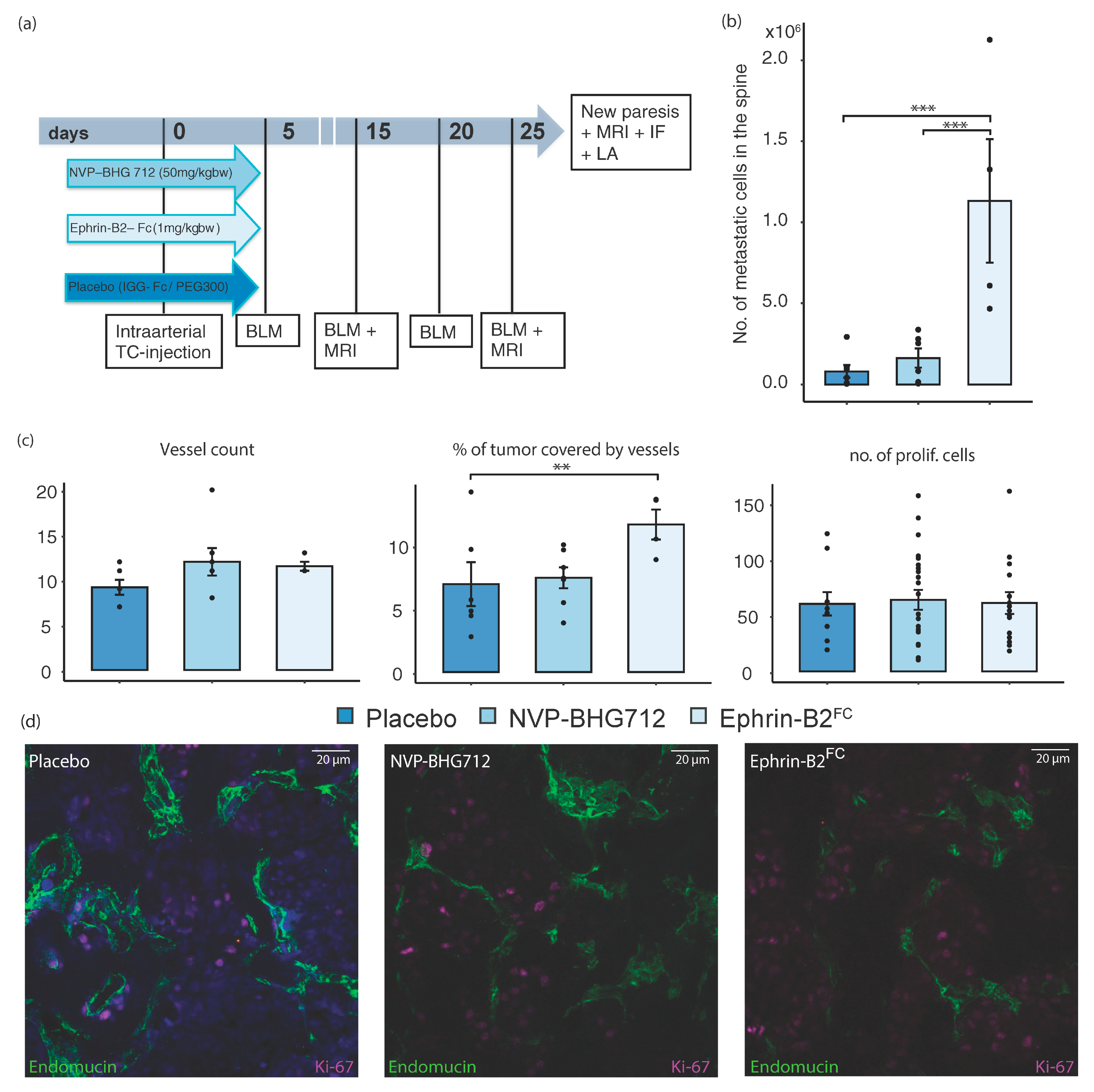 Ijms 22 08028 g002 550