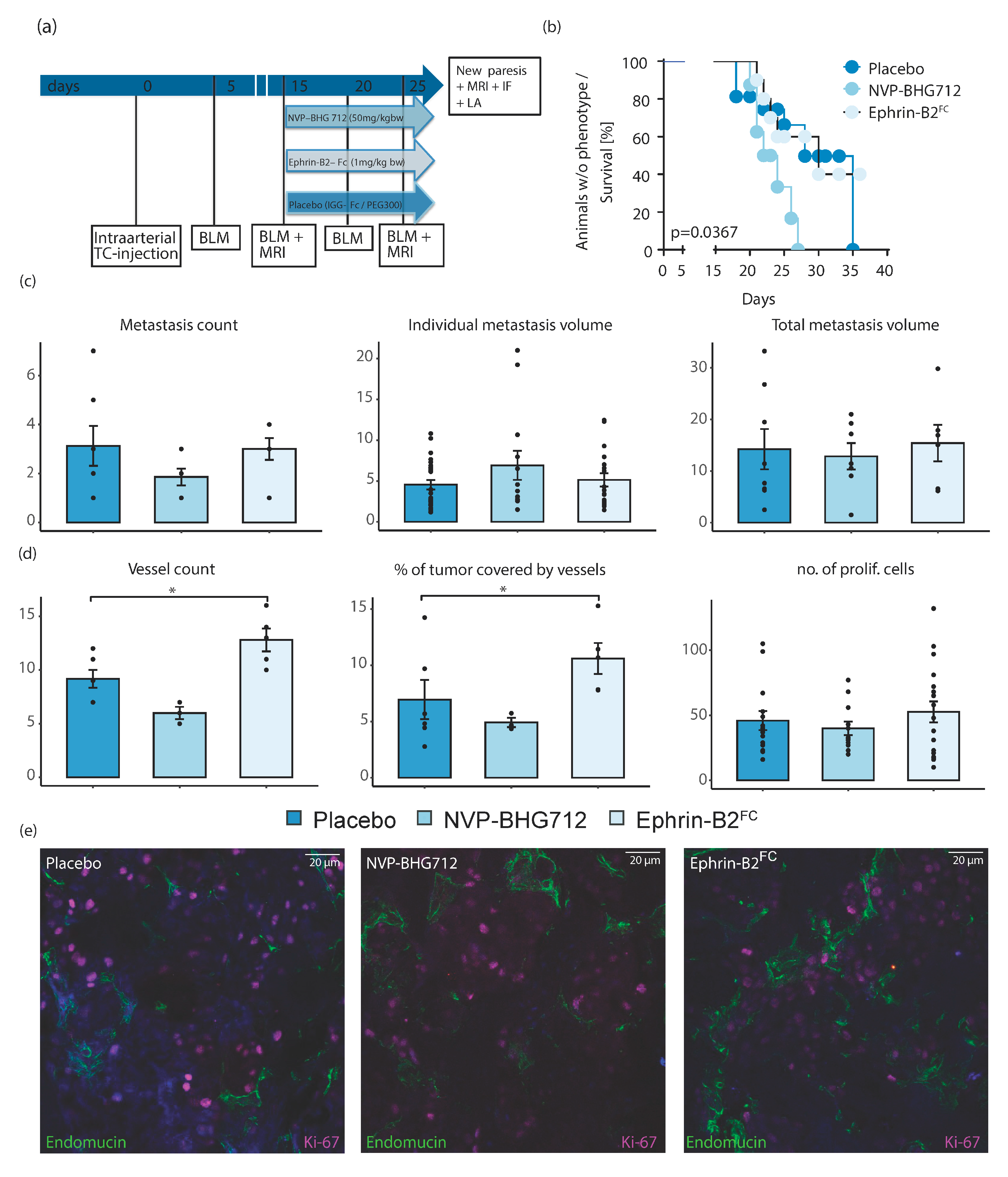 Ijms 22 08028 g004 550