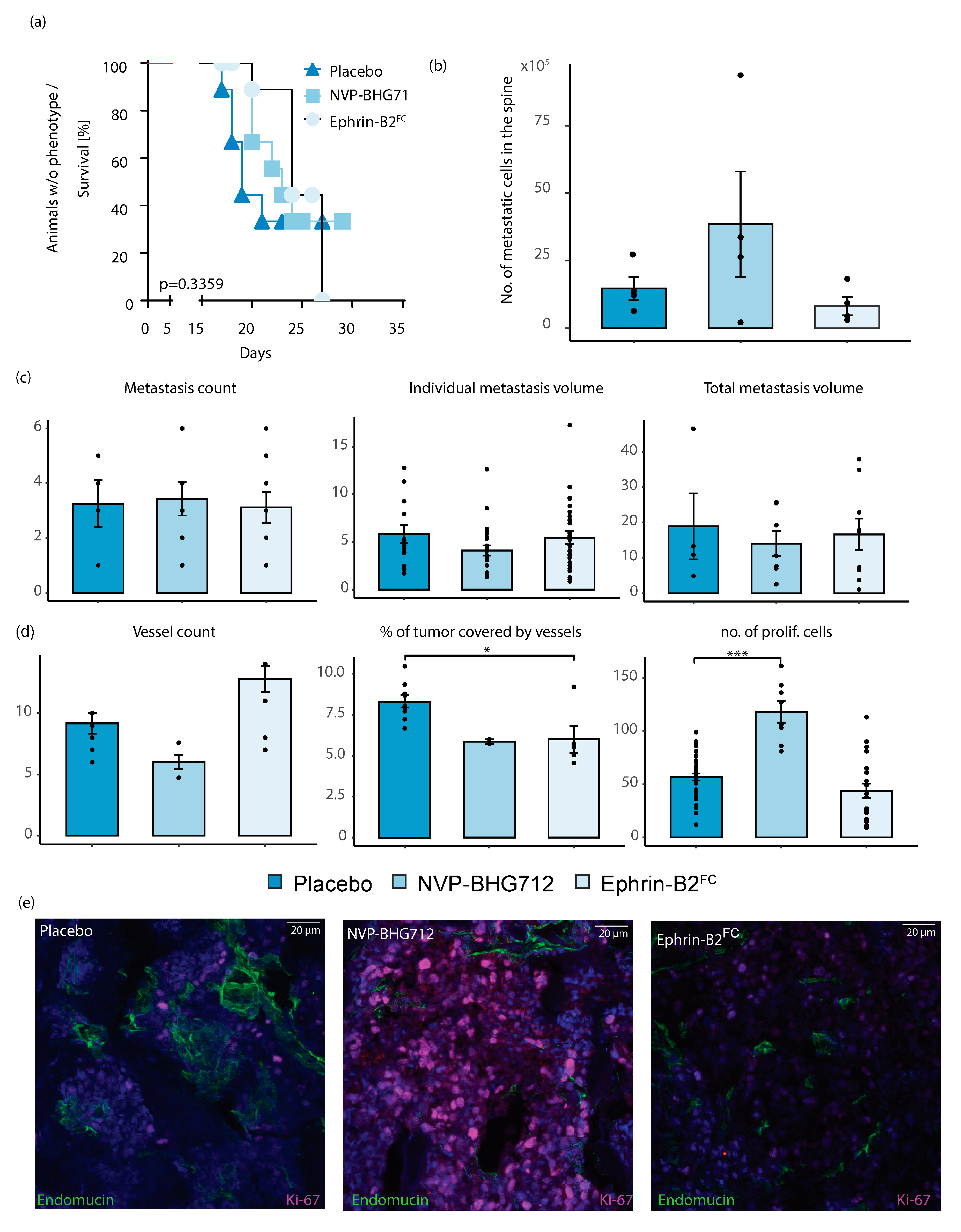 Ijms 22 08028 g005 550
