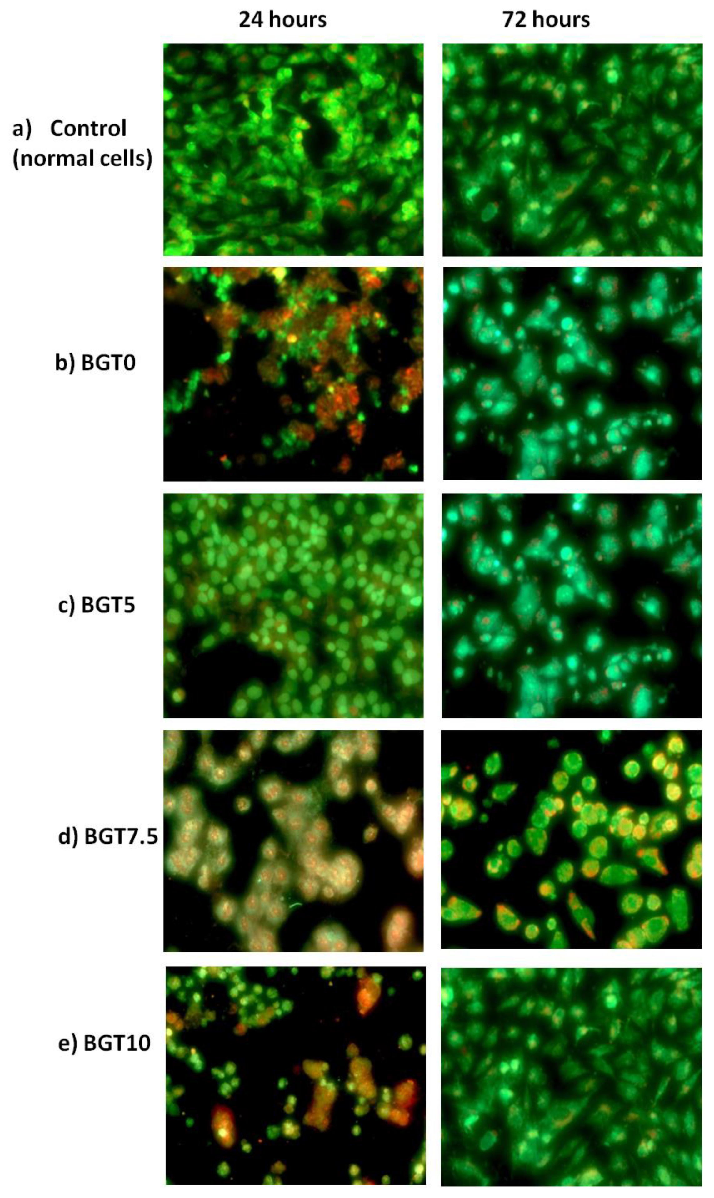 Ijms 22 08038 g011 Ijms 22 08038 g011