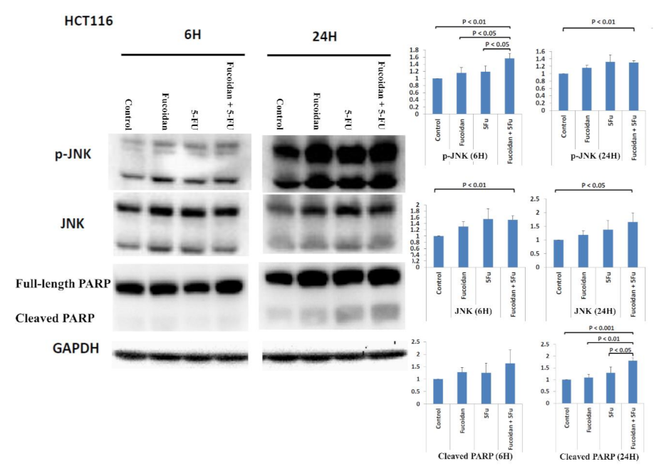 Ijms 22 08041 g003 550