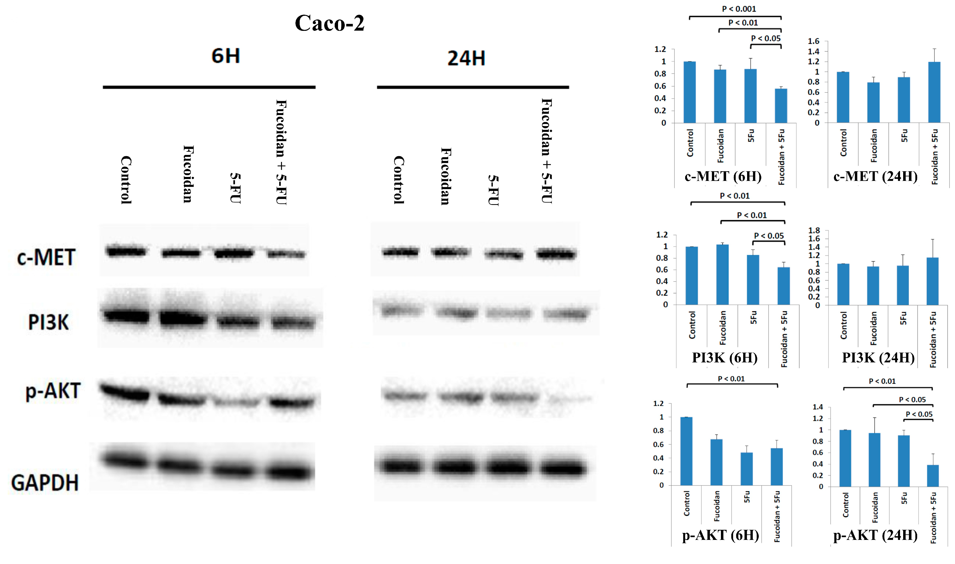 Ijms 22 08041 g005 550
